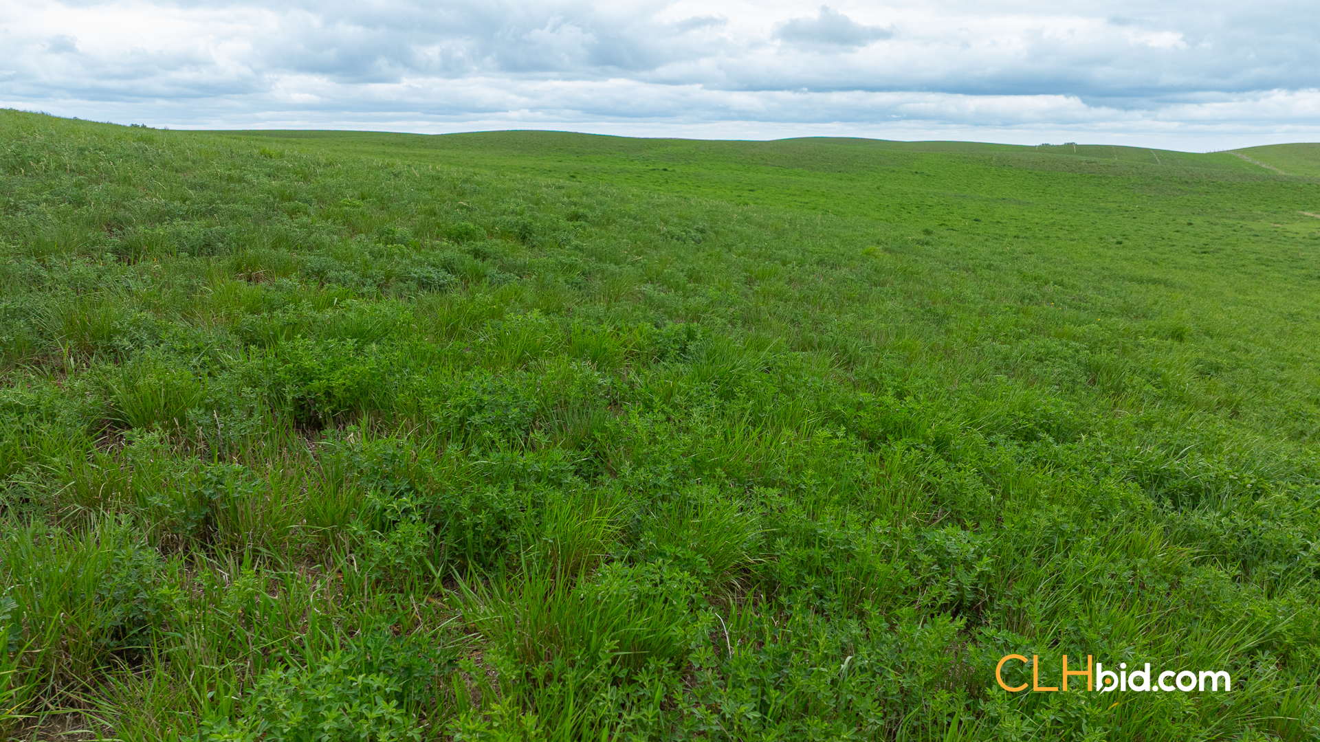 Web-LegacyMoveNEW-51