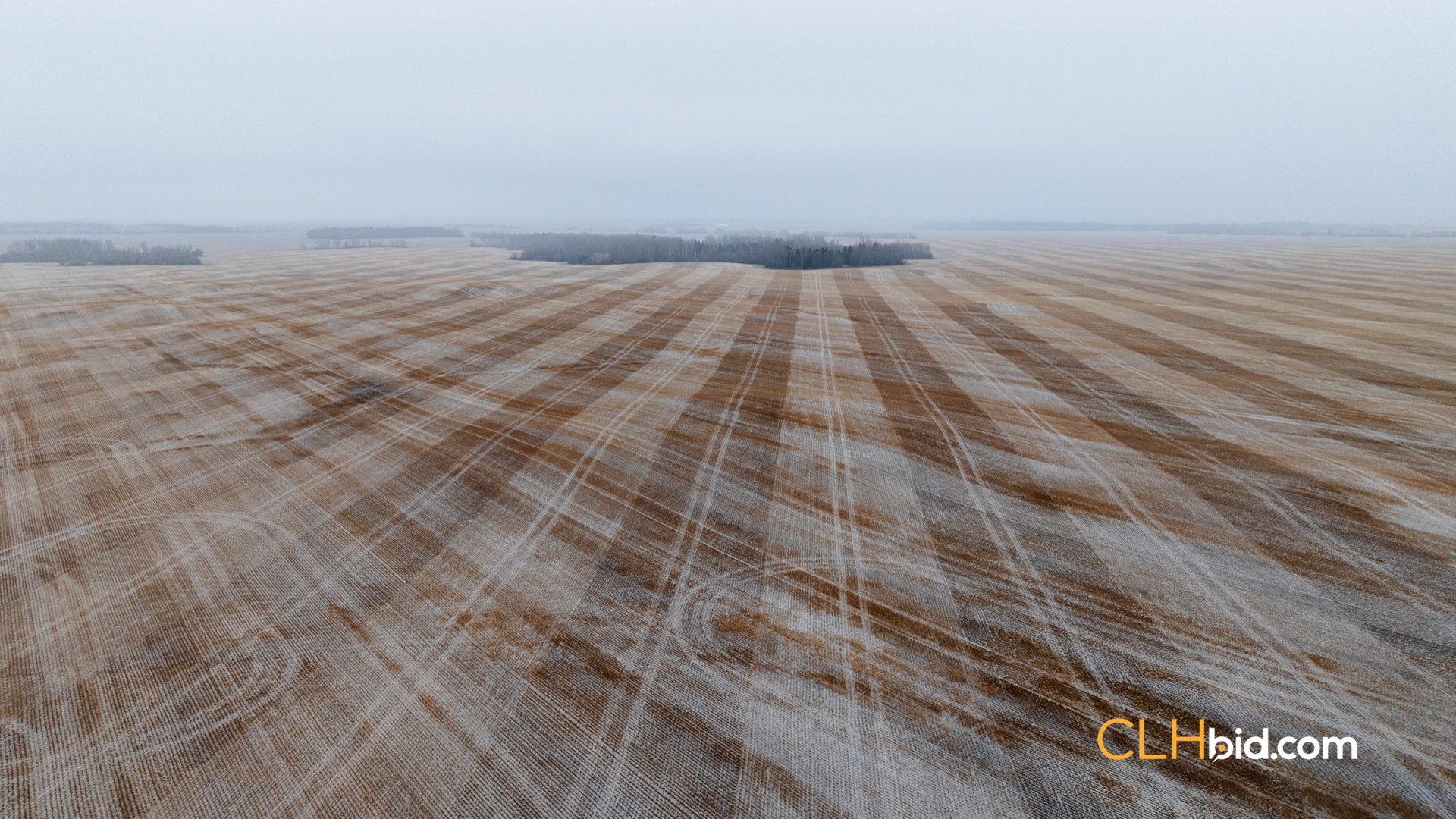 Web Tangent Bounty-1