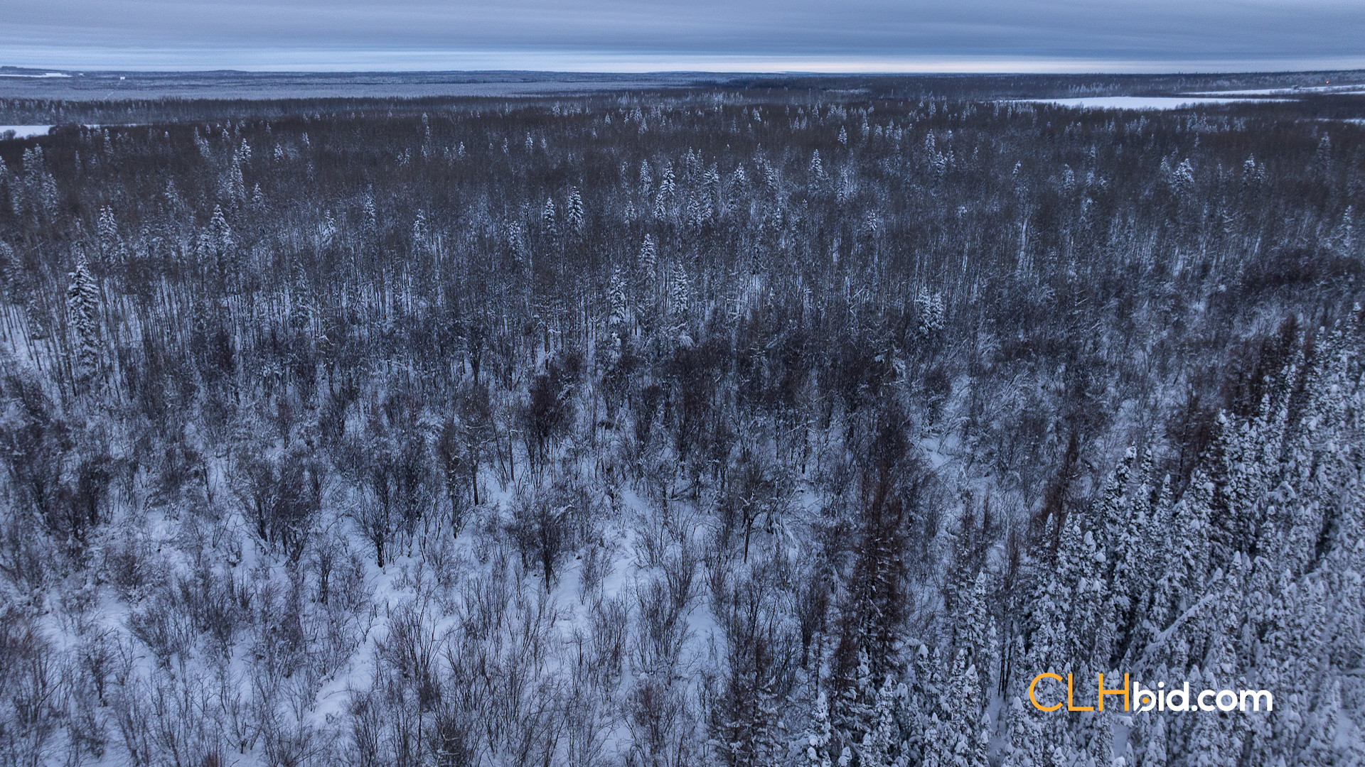 Web Moonshine Hideaway P1-9