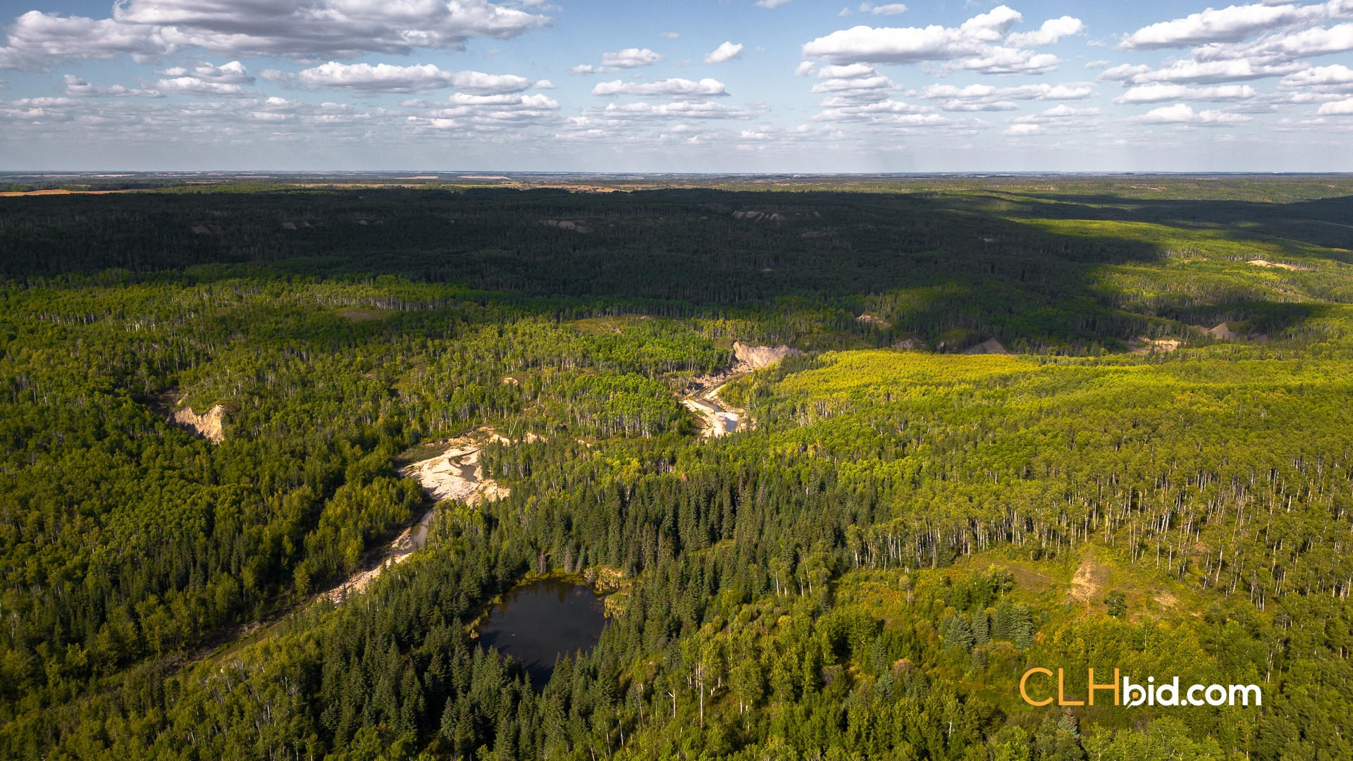 Web Wanham Expander-9