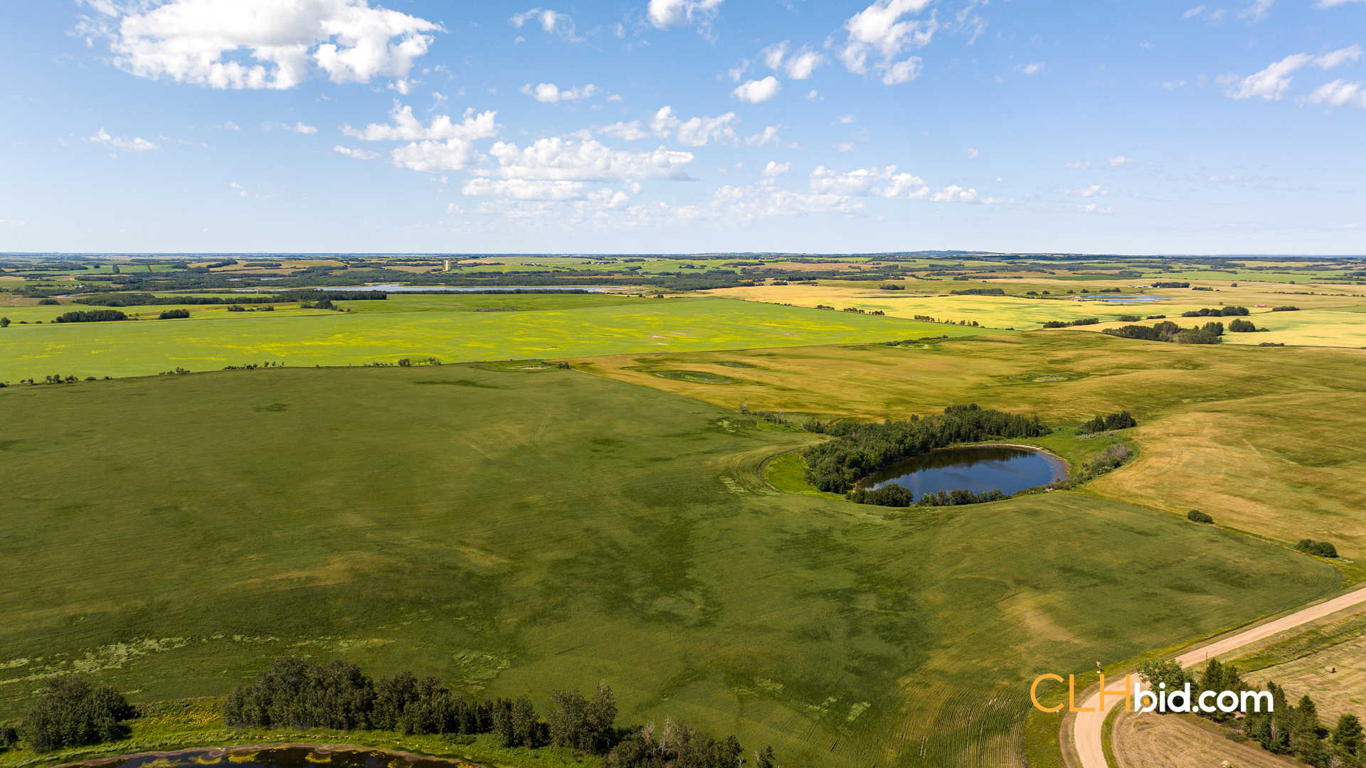 Web-Two-Hills-Next-Level-UPDATED-5