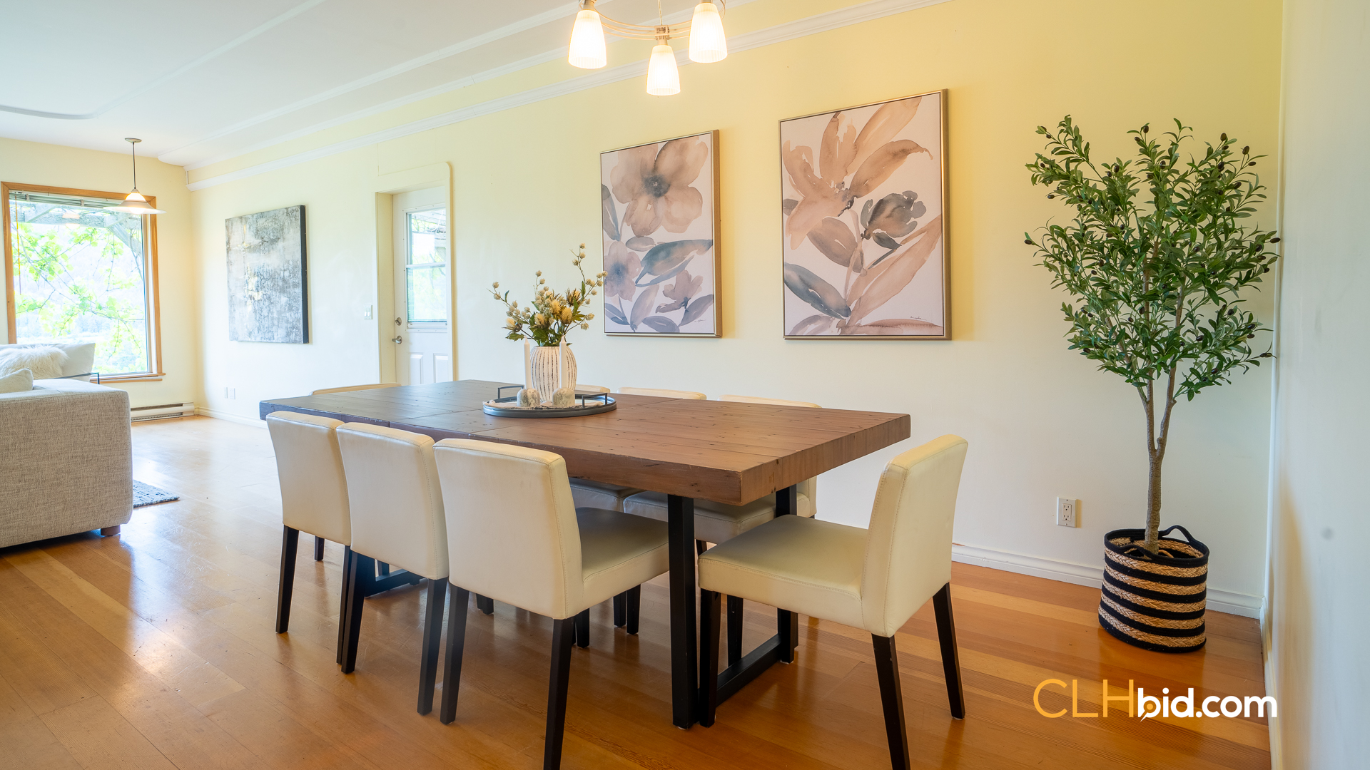 Web-OliveFarmNew-109