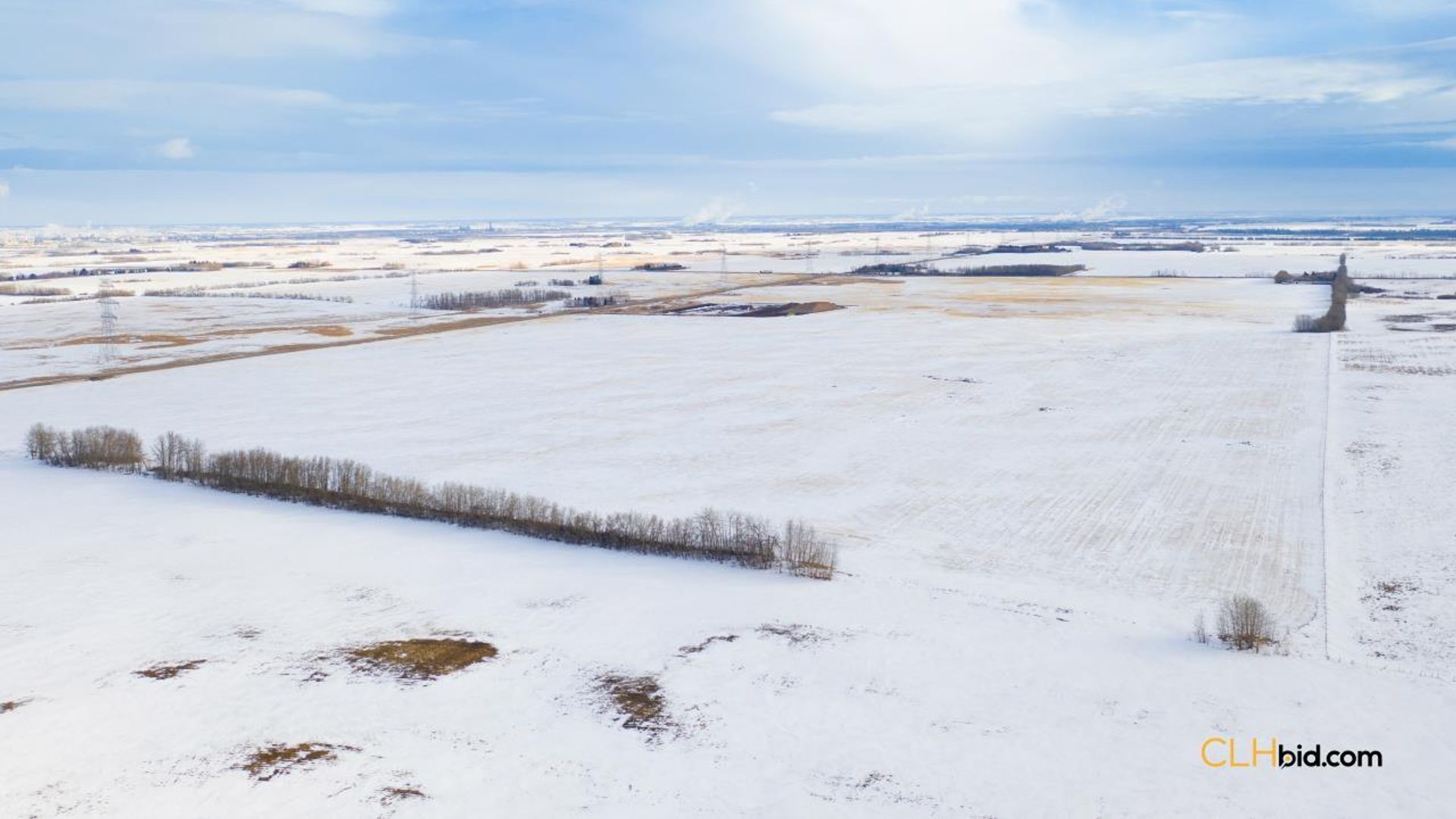 emeraldatgibbons-1-6