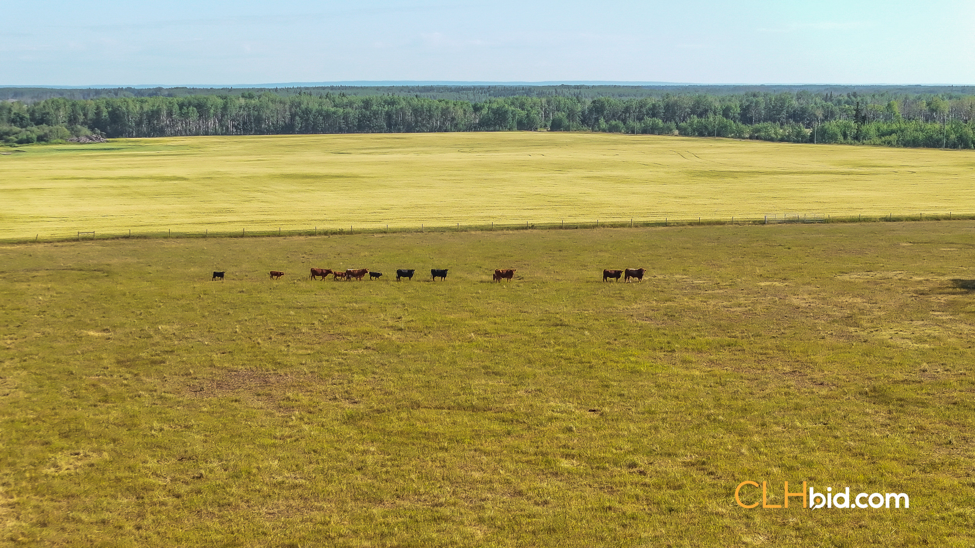 Web Rustlers Roost-16