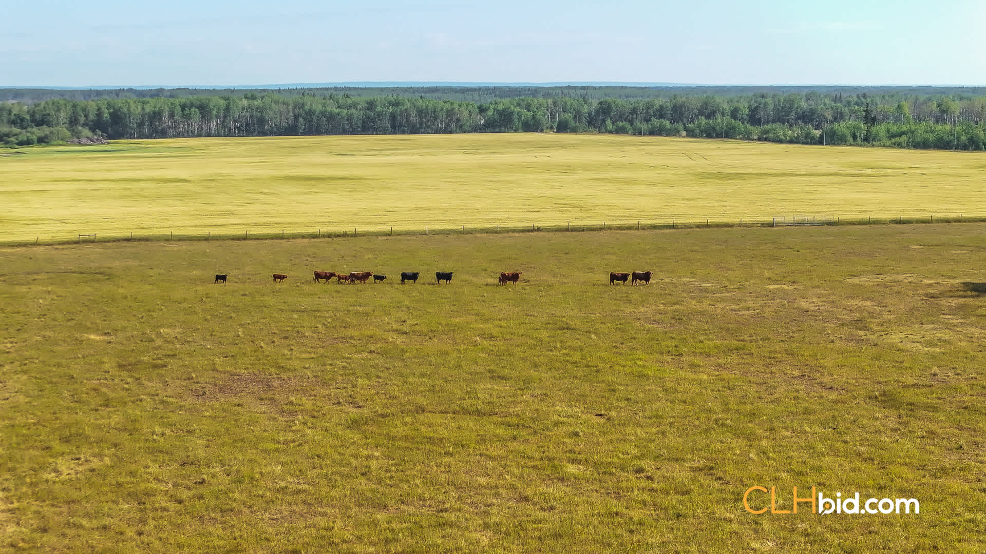 Web Rustlers Roost-16
