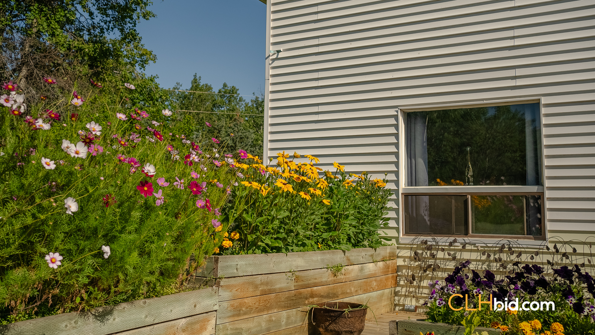 Web Rustlers Roost-30