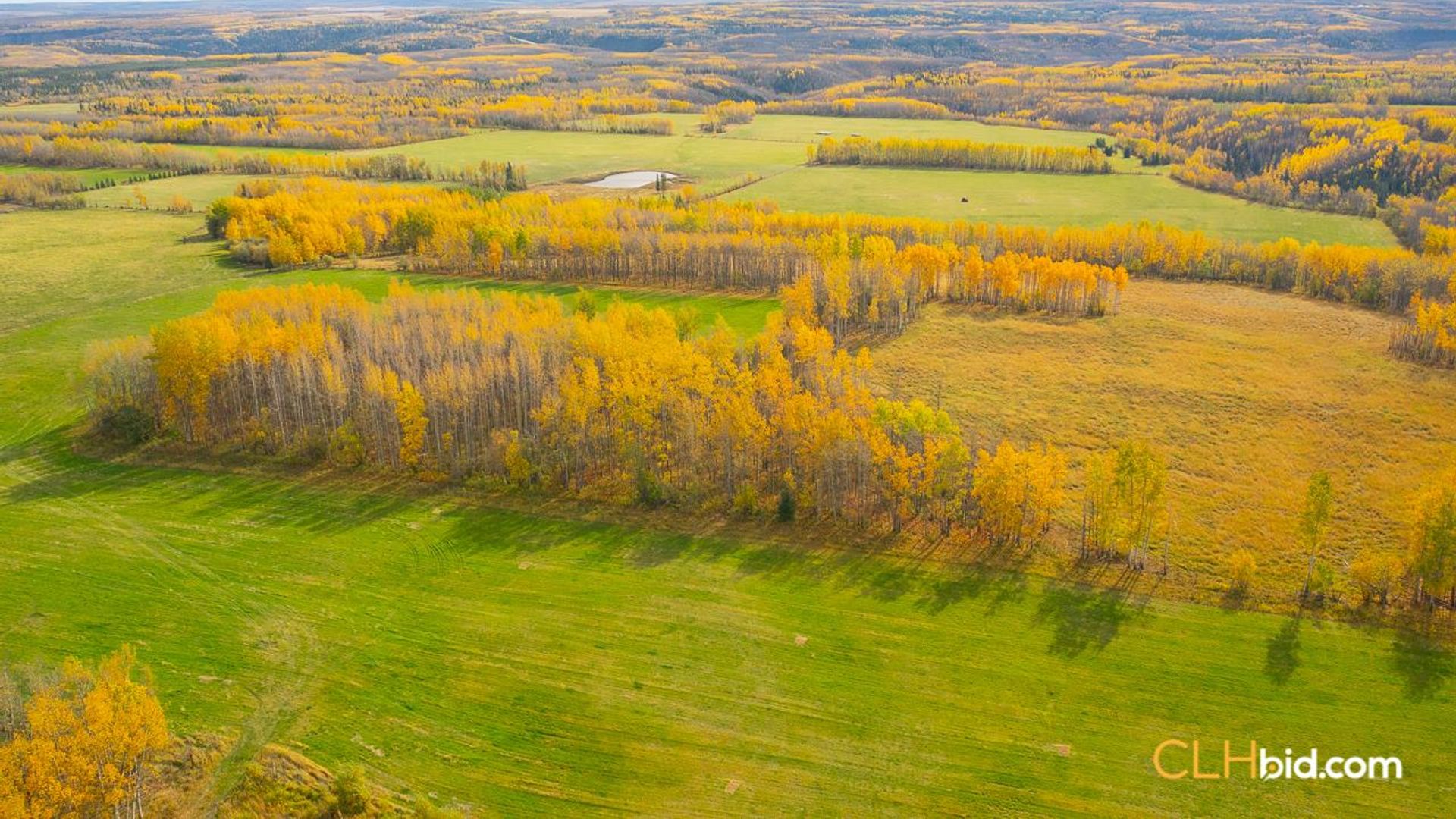 theranchonbradenroad-1-2