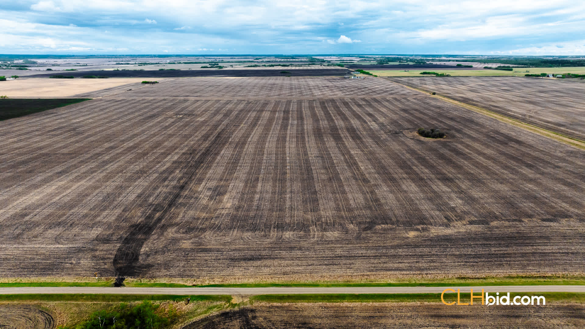 View from above of Berwyn/Brownvale Beauties