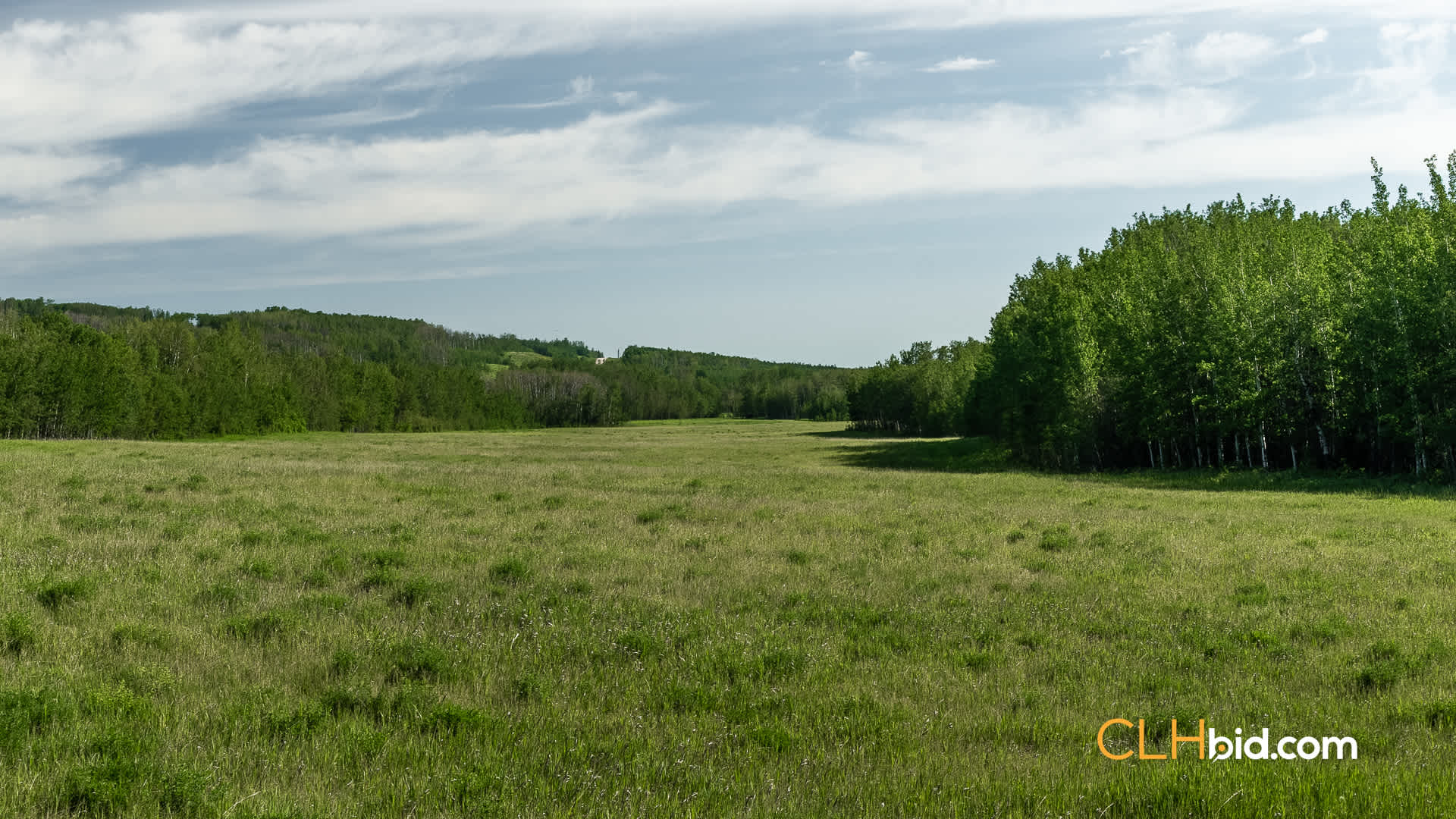 Web The Wild at Braden Rd-15