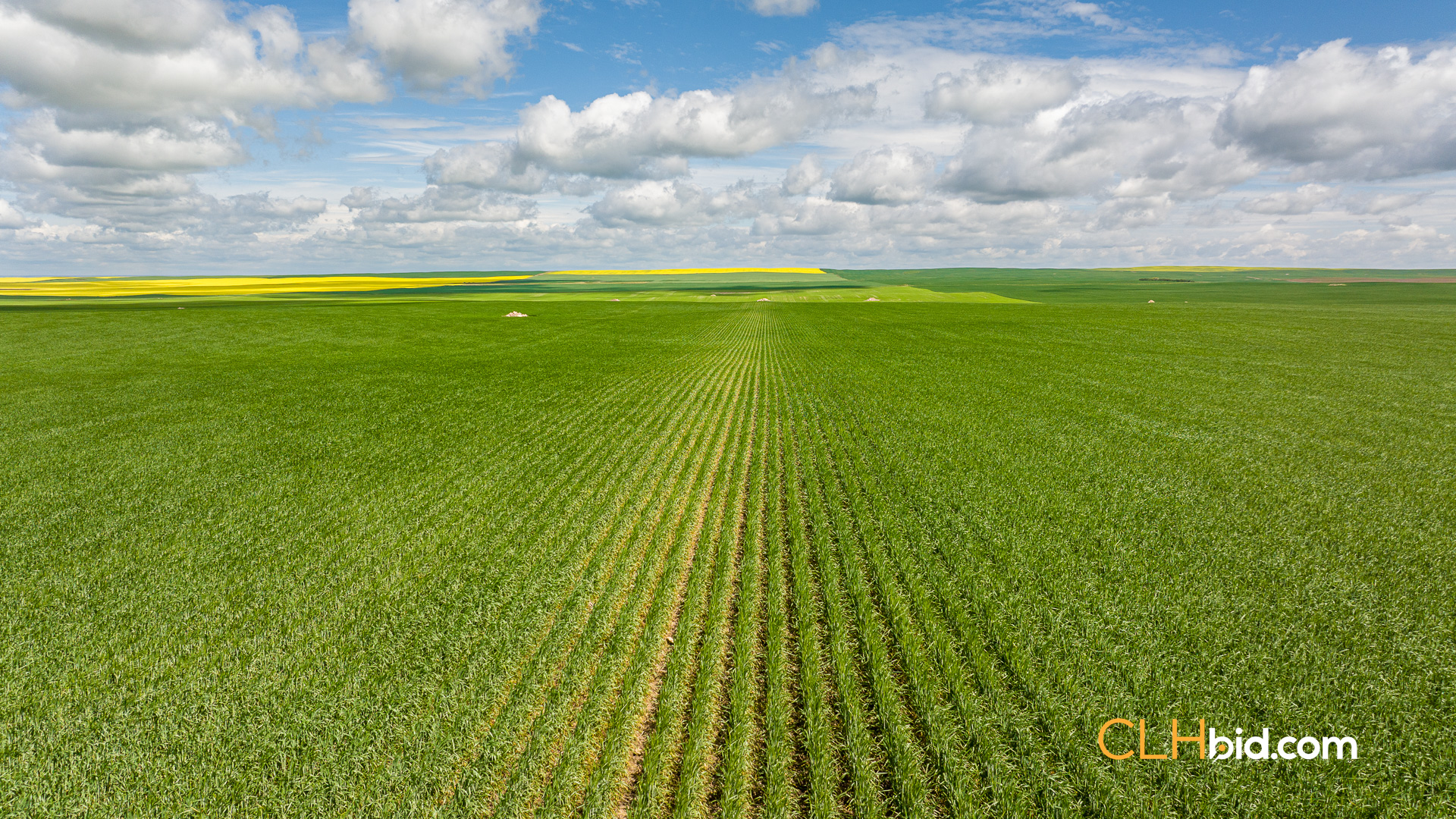 Web-Kincaid-Pinnacle-21