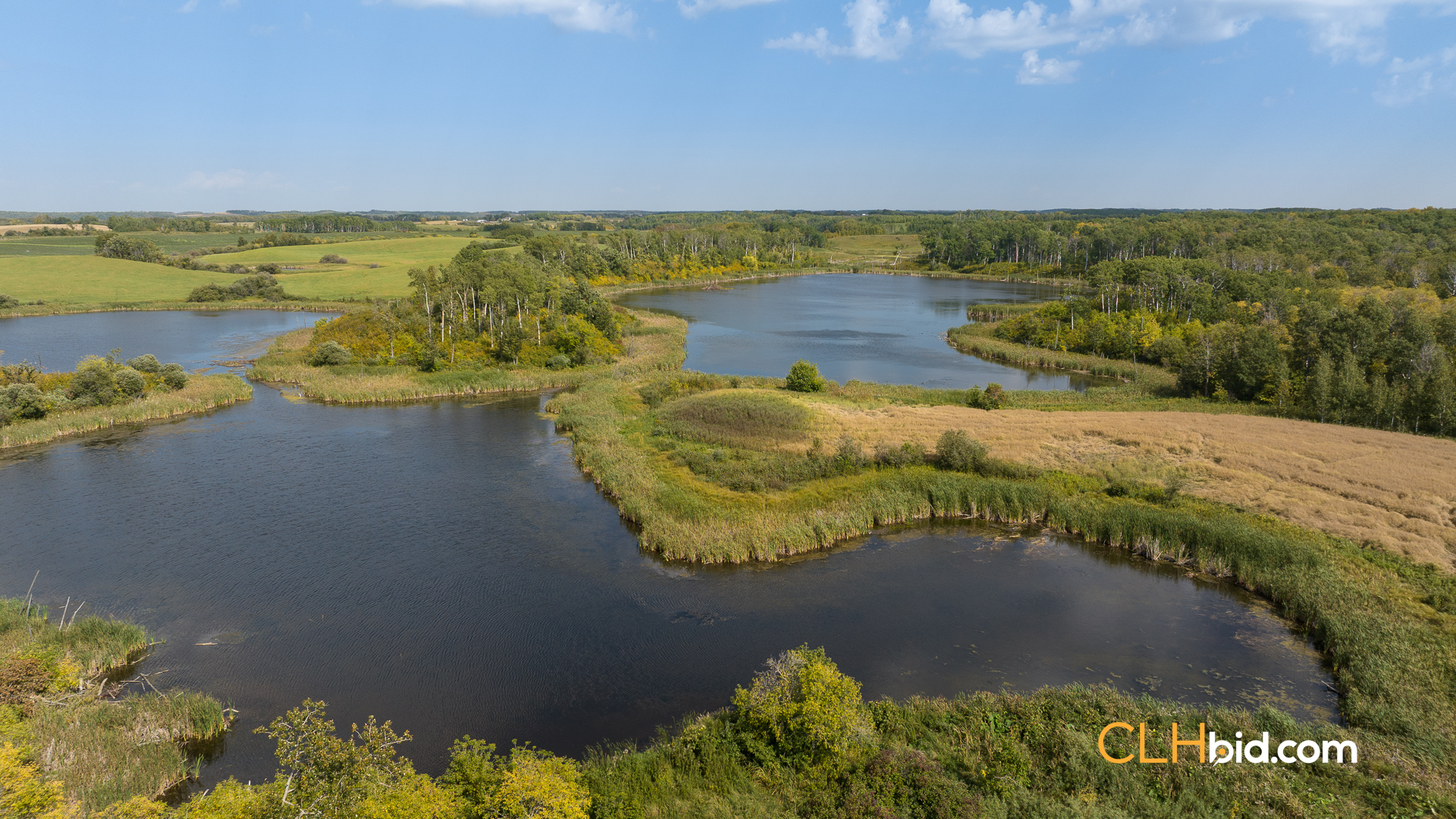 Web-RossburnPrimary-10