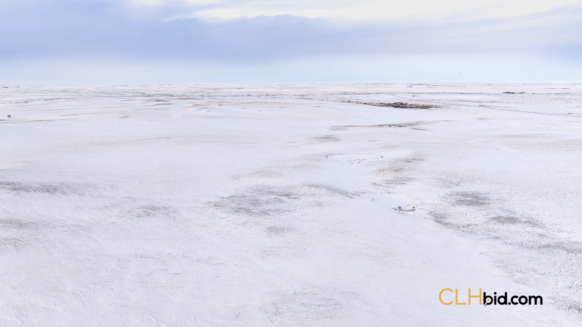 P3 Web169-AcresOfPedigree-11