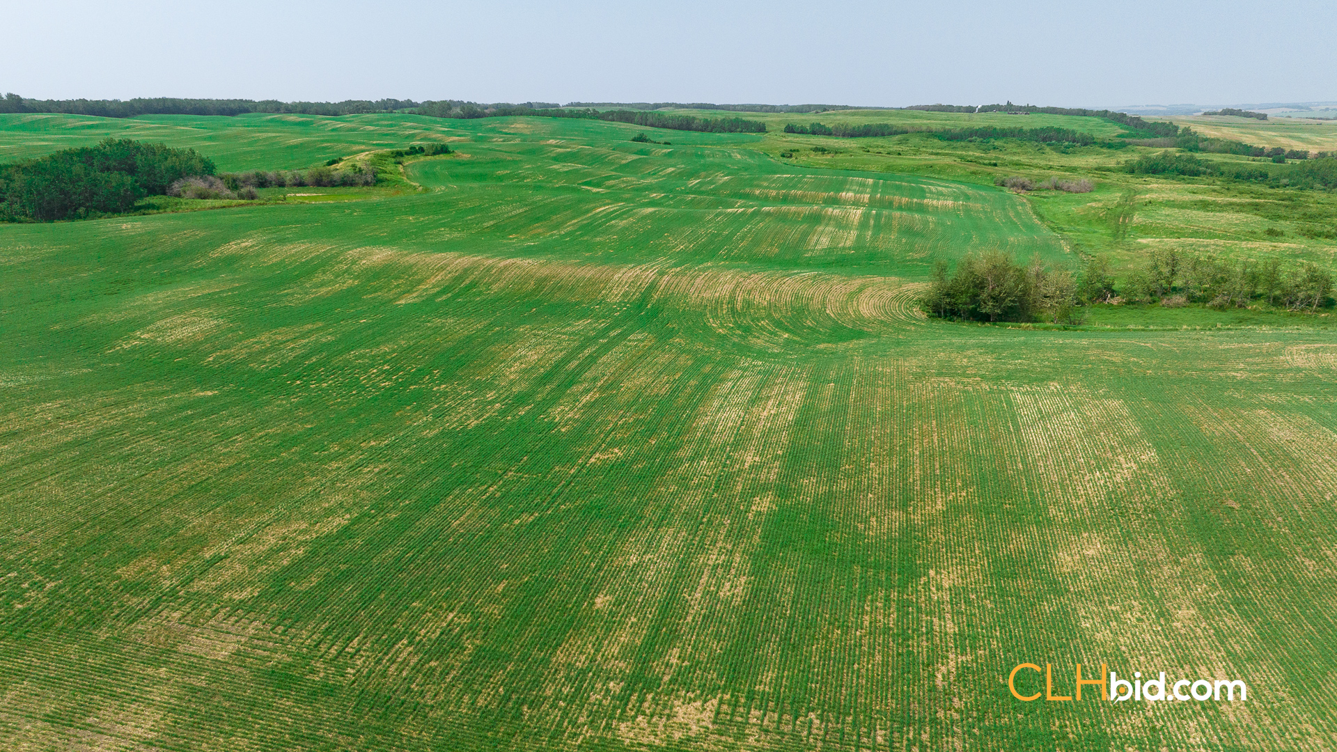 Web-Innisfree8Summer-49