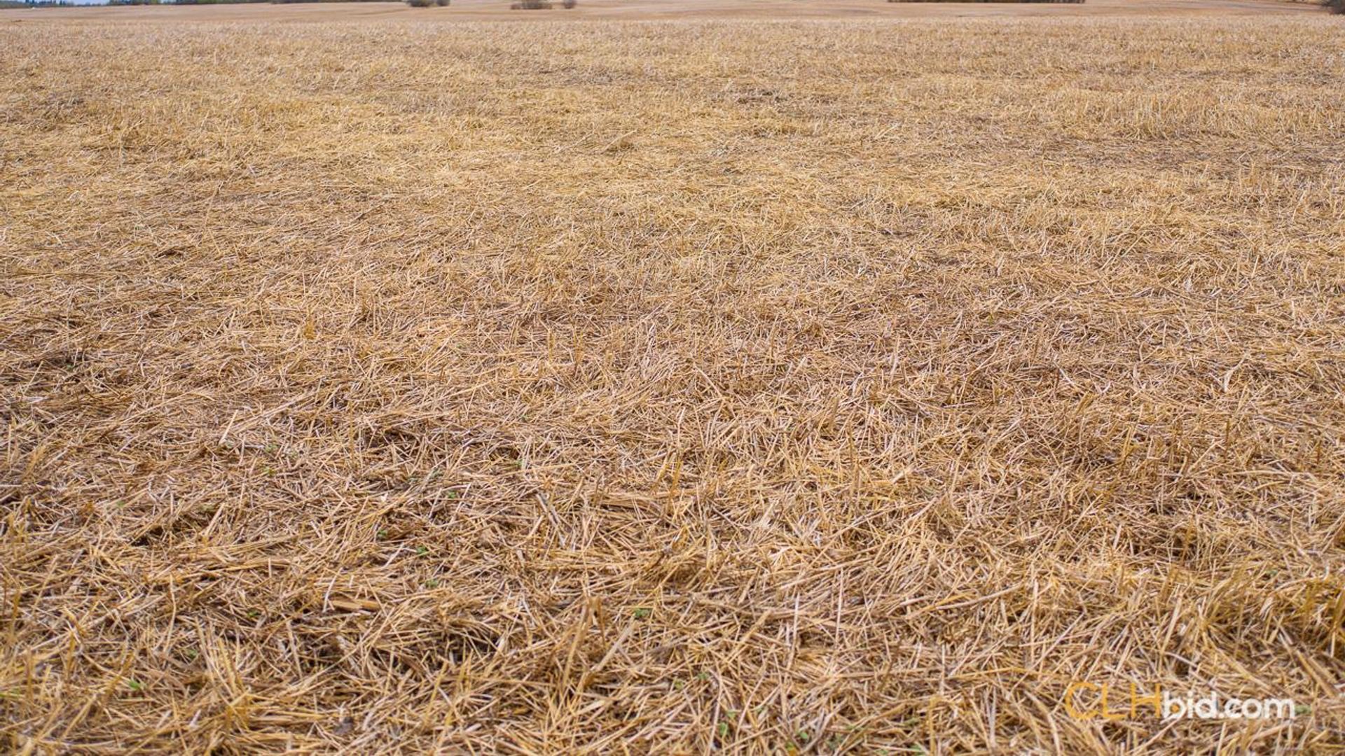 highway2unlimited-1-5