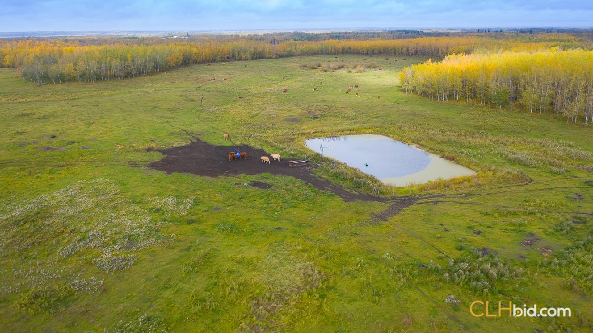 countryfarmsonhighway14-3-2