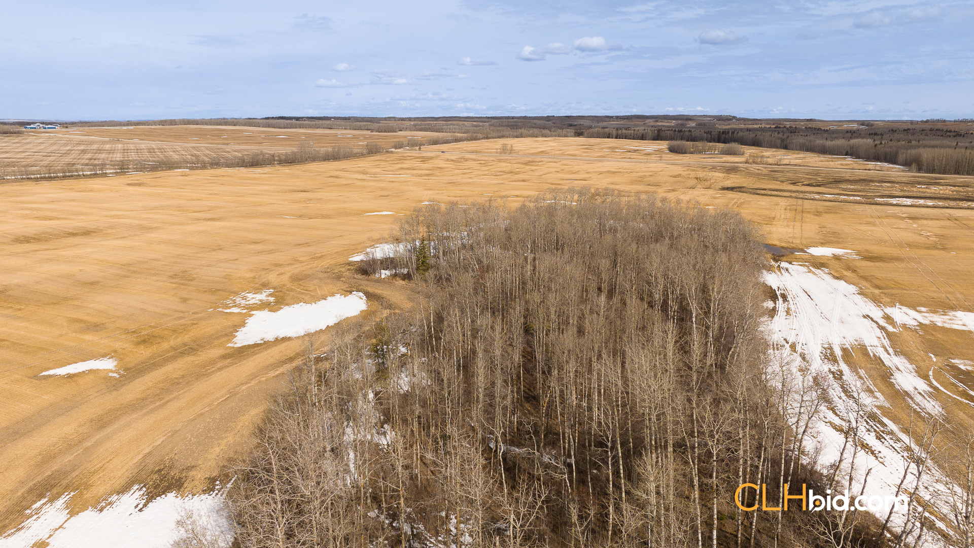 Web-BentleyRoyalty-6