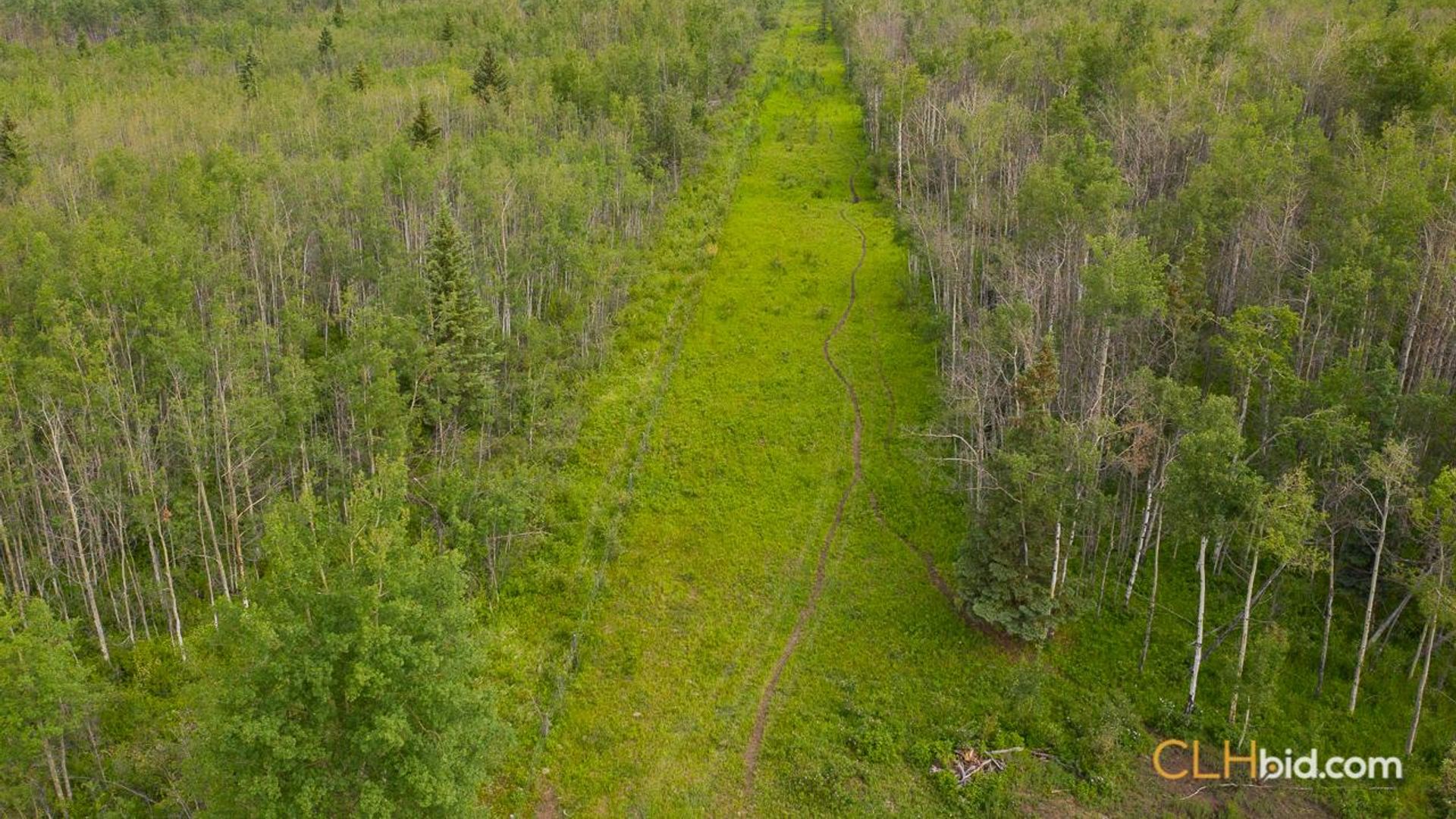 silvervalleydiamondintherough-4-3