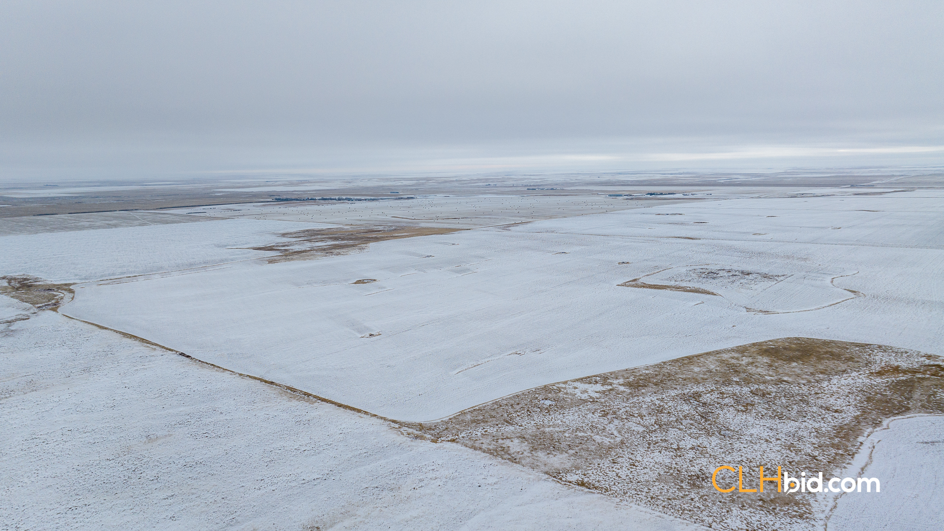 Web-Hazenmore-On-My-Mind-8