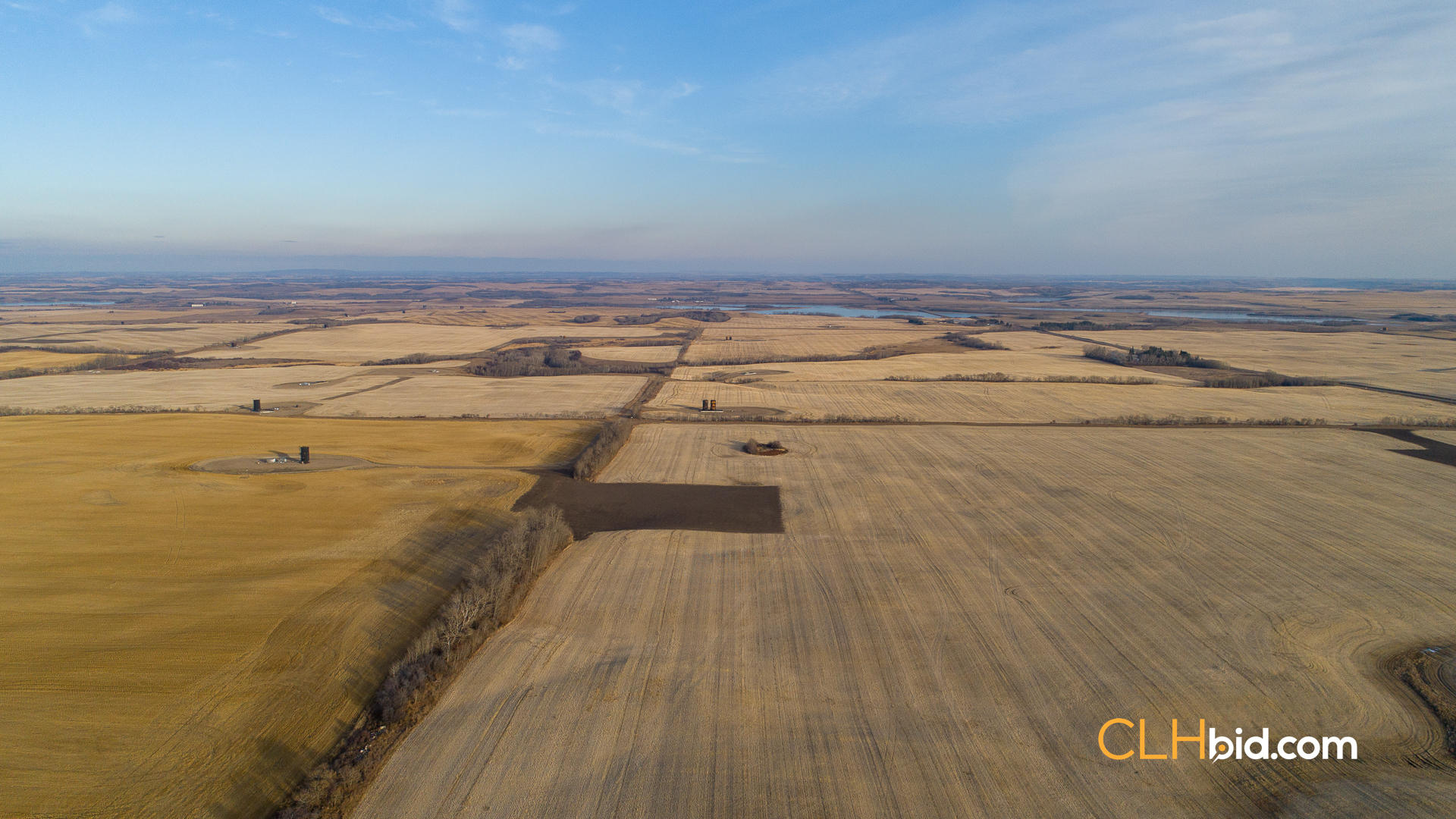 Web-Nine-Of-Diamonds-37