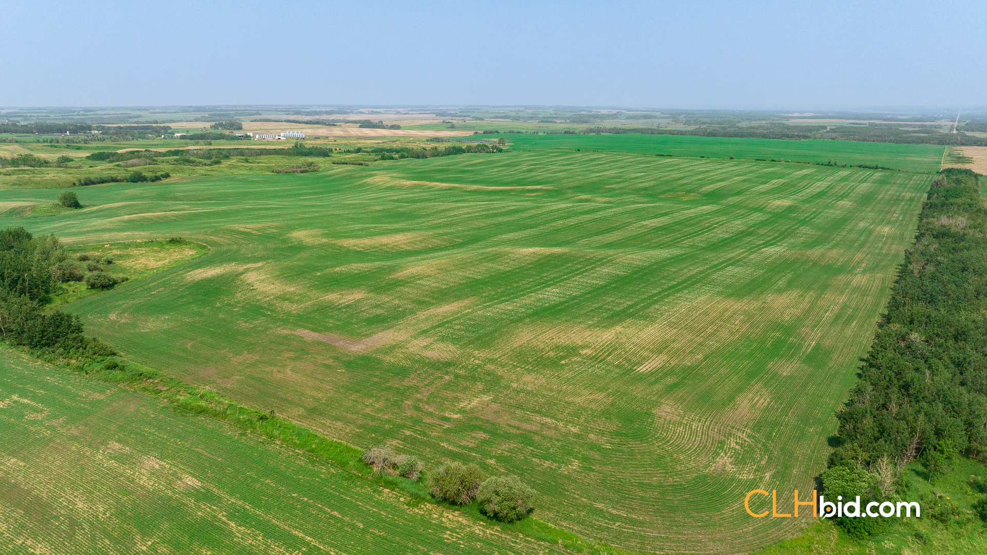 Web-Innisfree8Summer-47