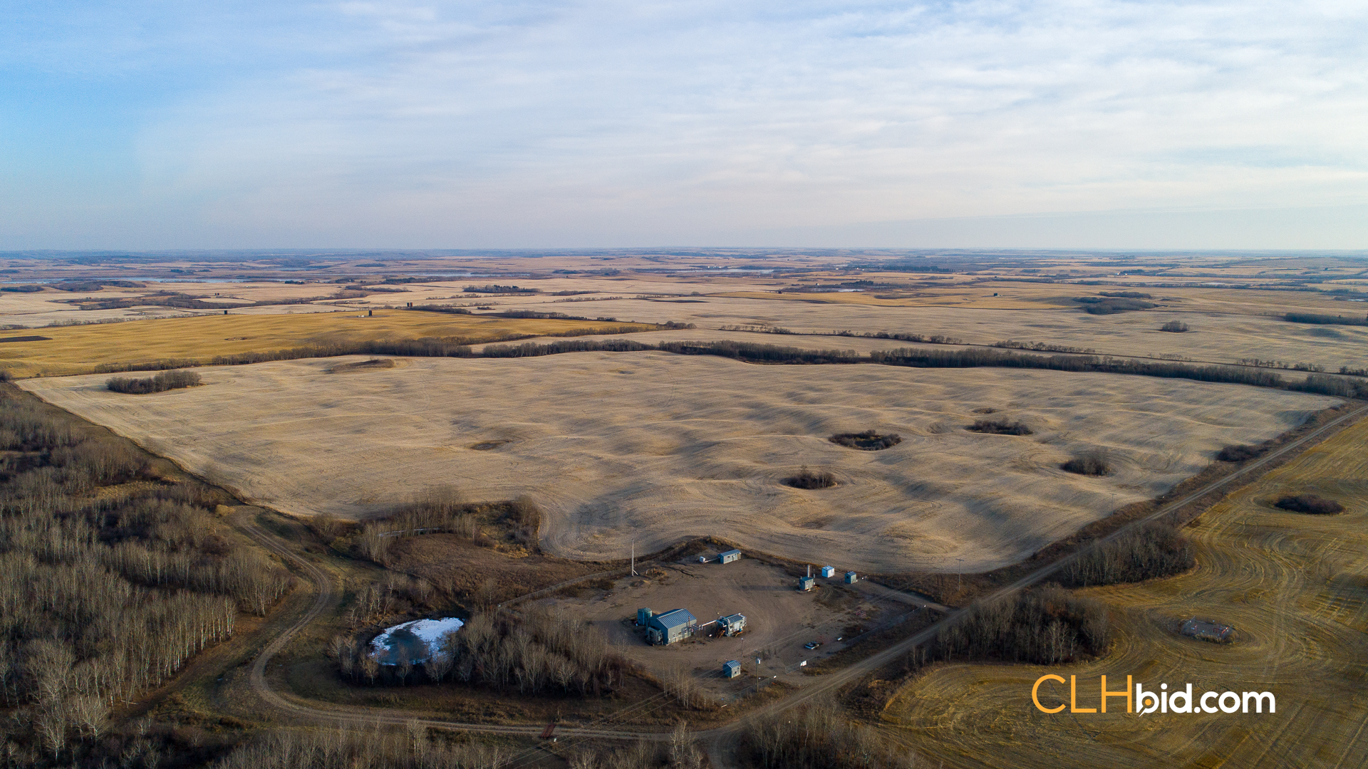 Web-Nine-Of-Diamonds-36