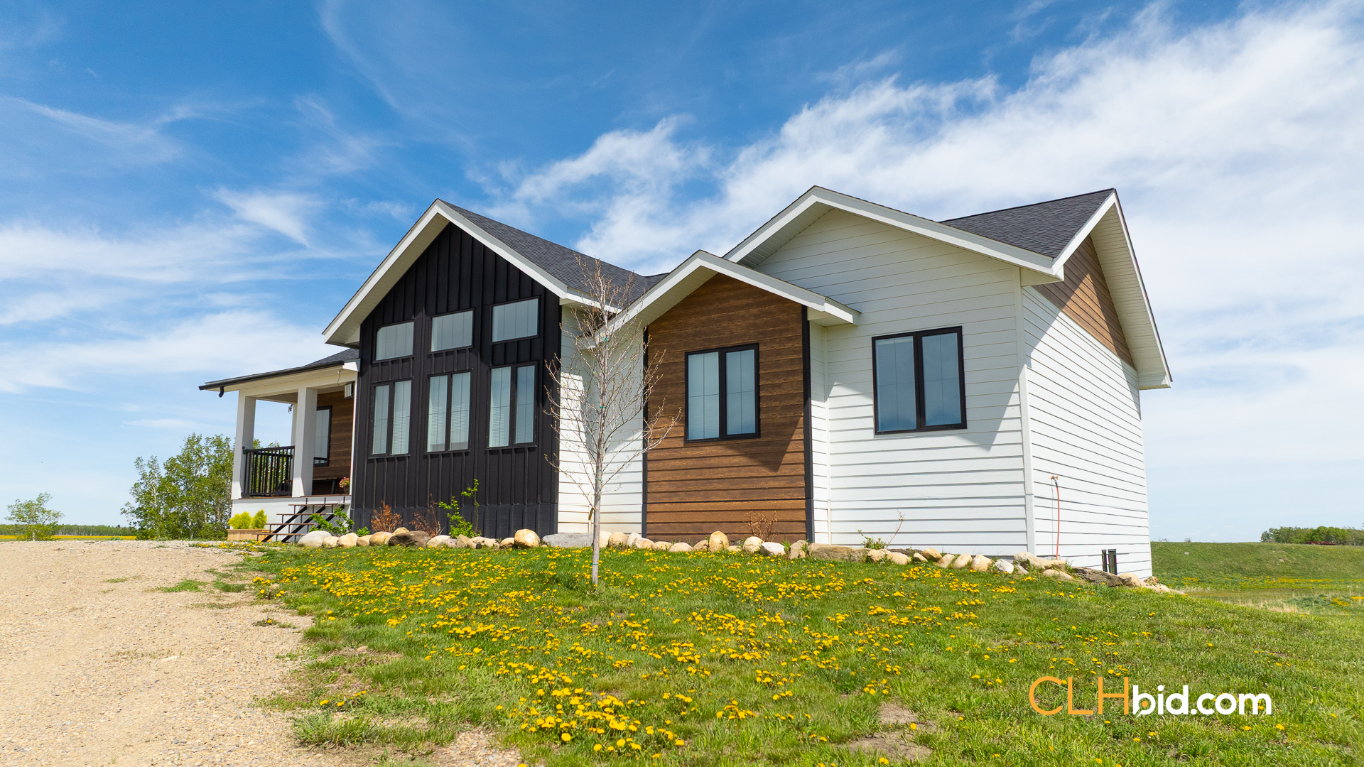 Web-CochraneDynastyJune-19