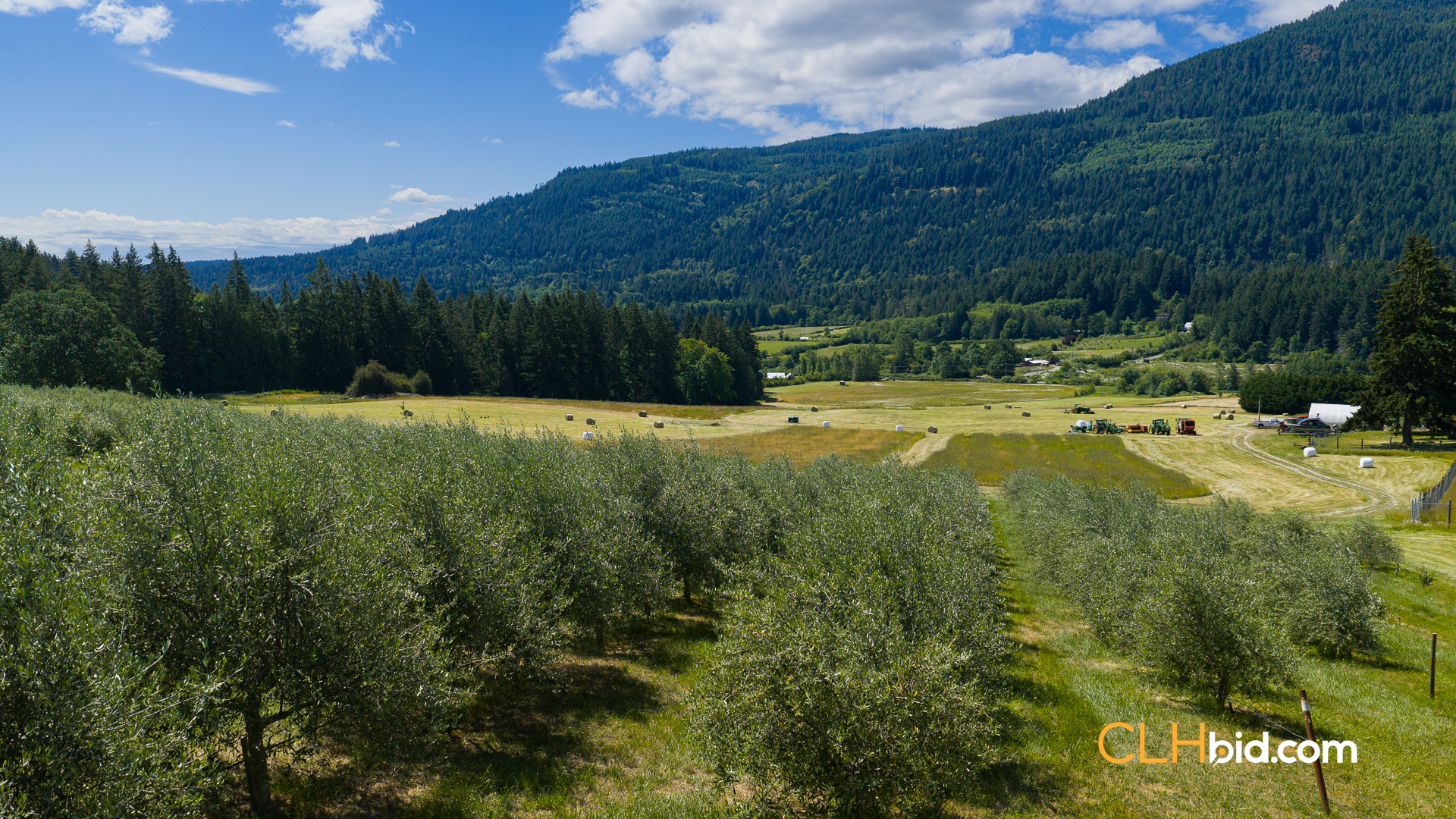 Web-OliveFarmLandNew-10