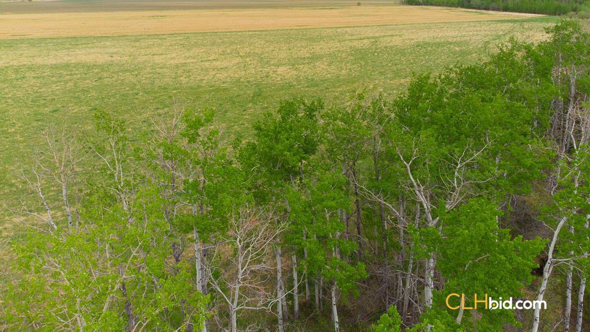 primetimeattheborder-2-10