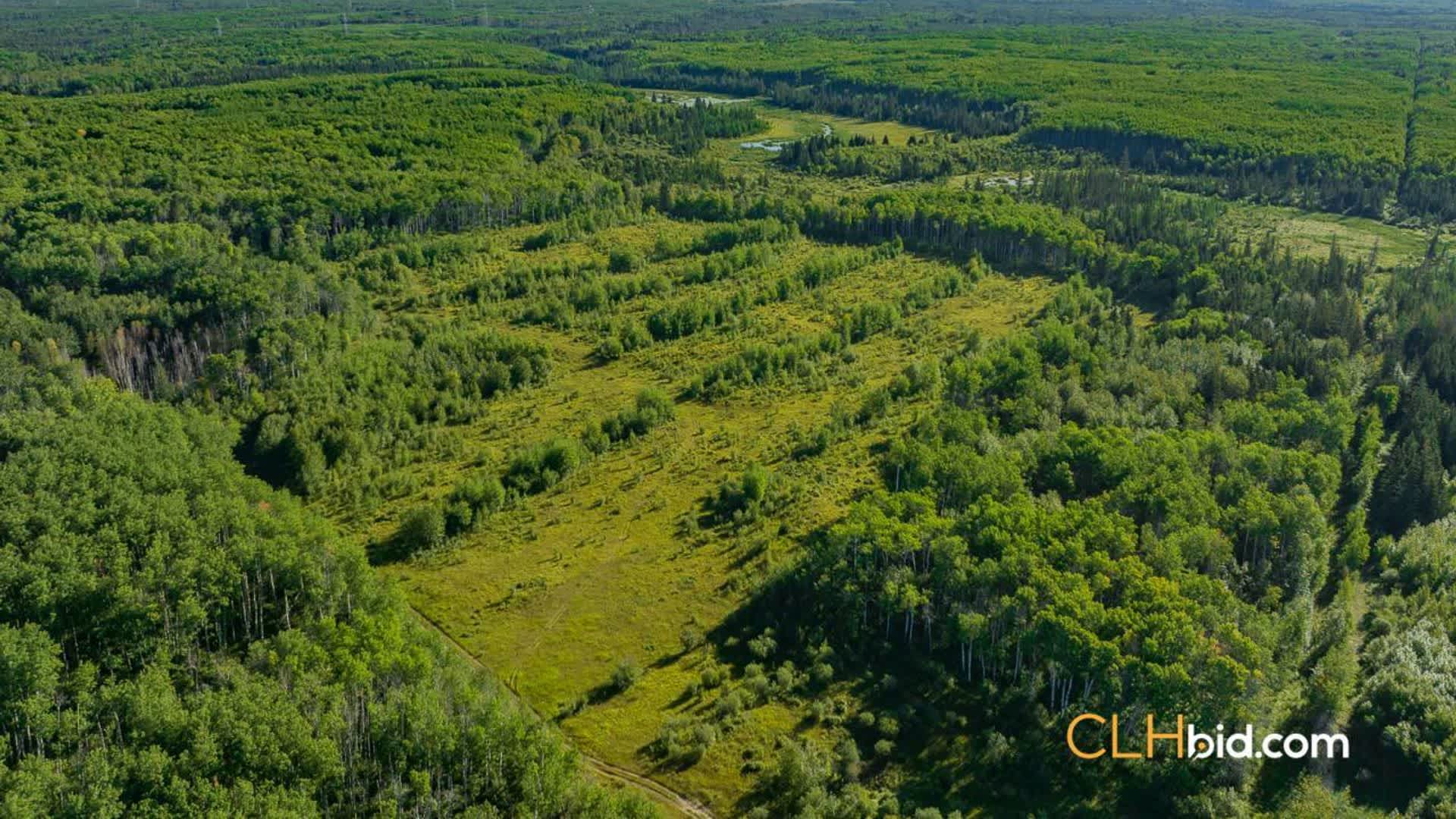 View from above of Rancher's Dream