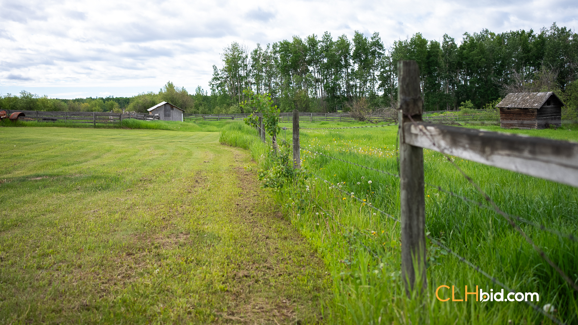 Web The Cattle Crossing-52