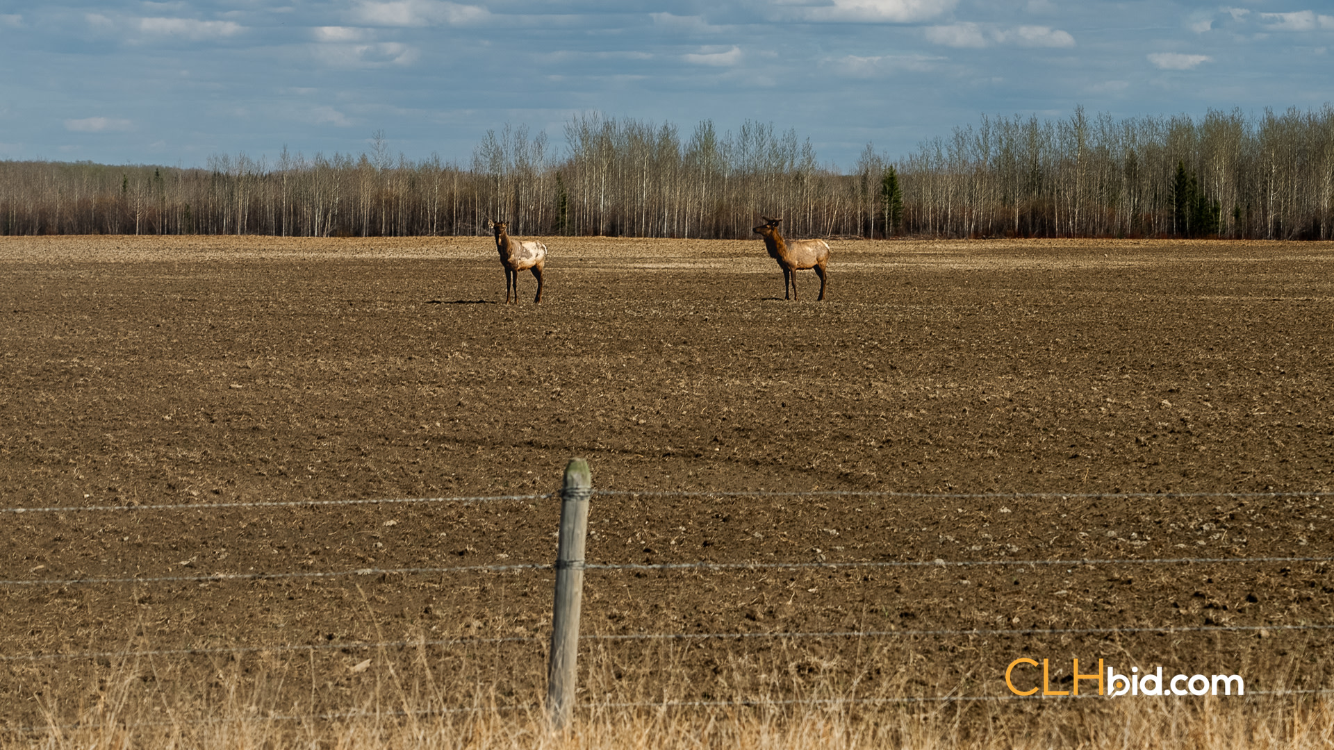 Web Upper Barr Plateau-25