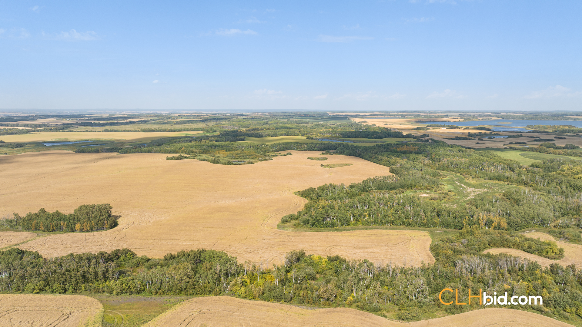 Web-RossburnPrimary-11