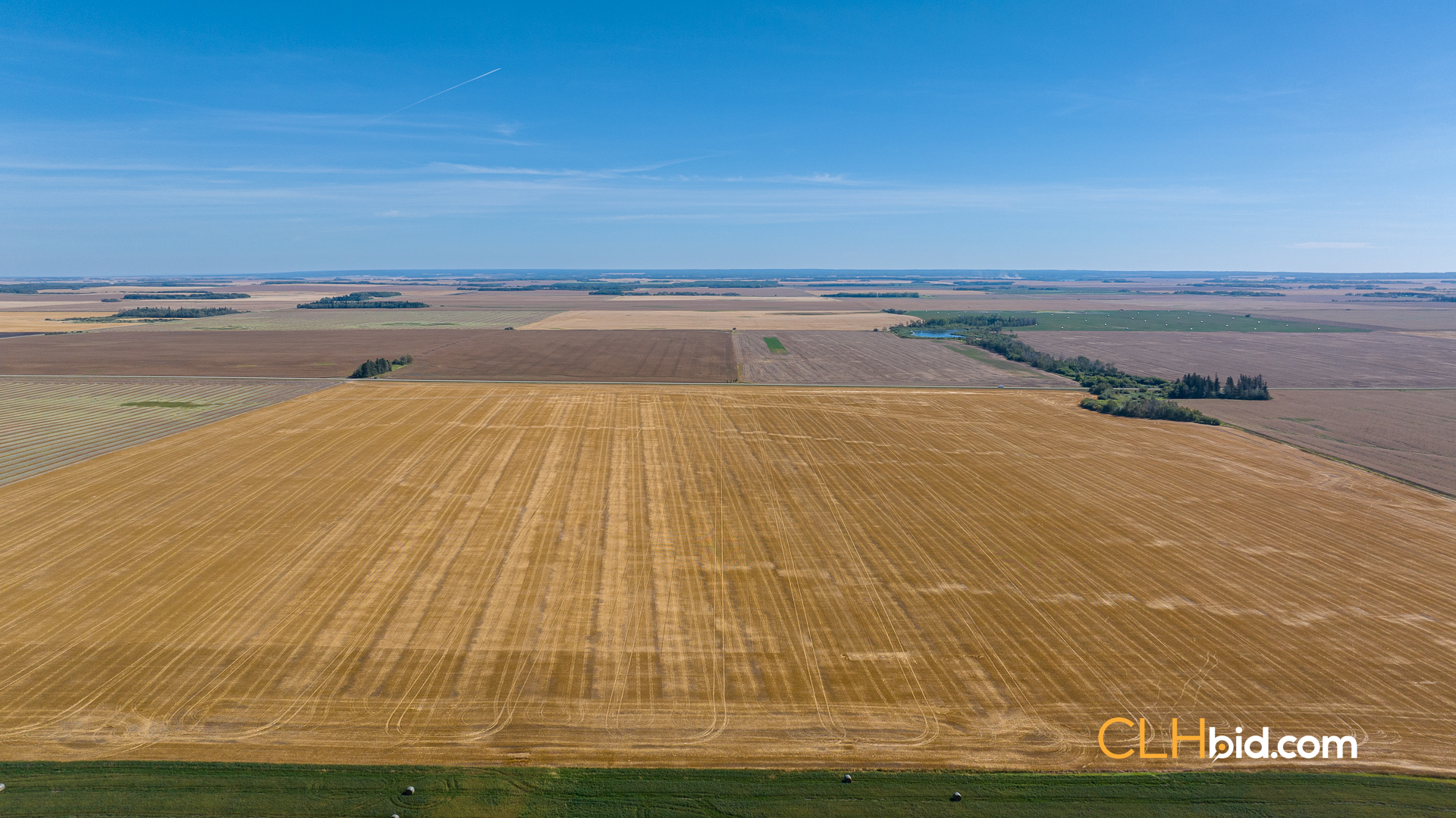 Web-Tisdale-Titan-20