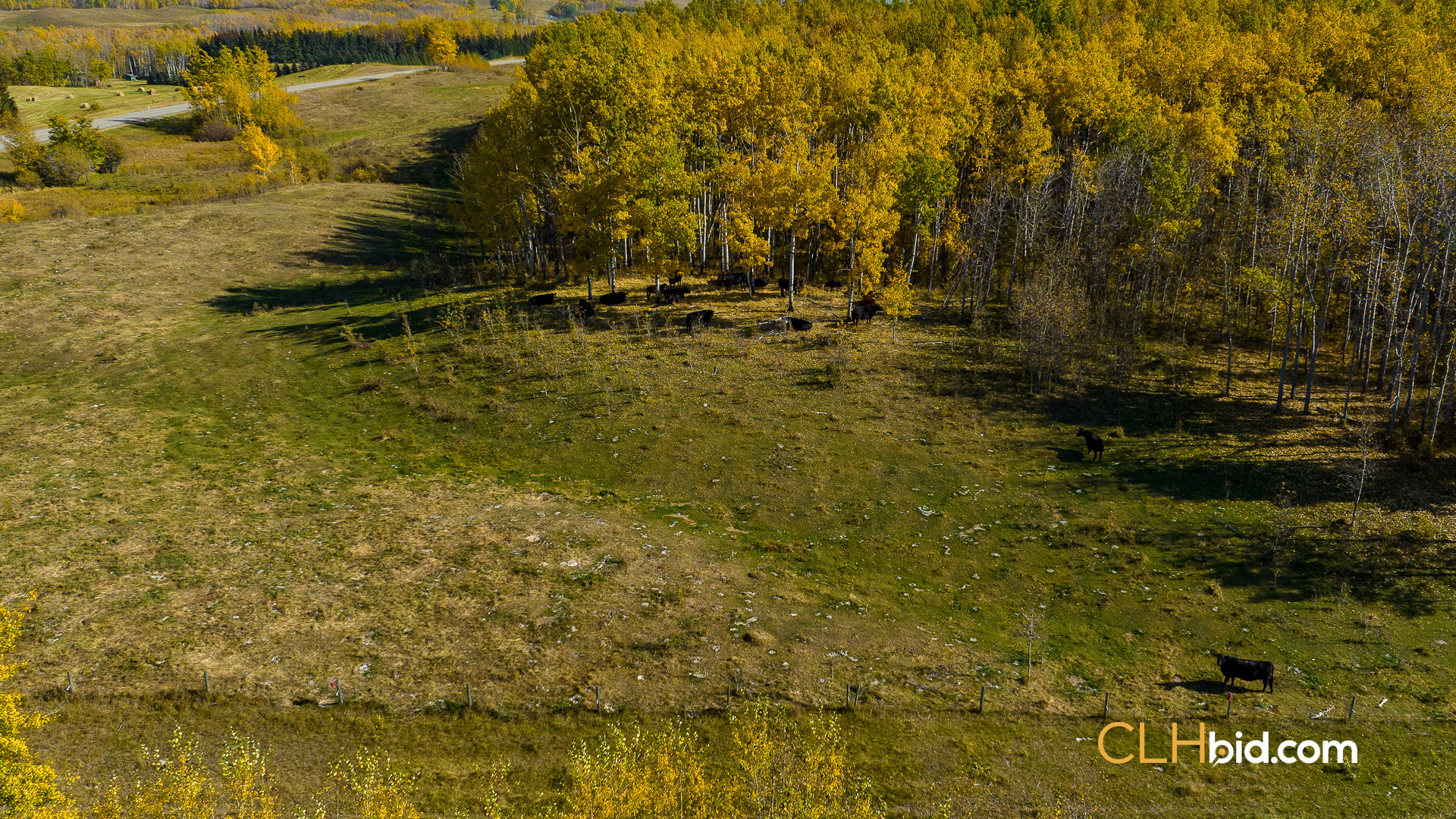 ABHeartland-WebWideNew-7