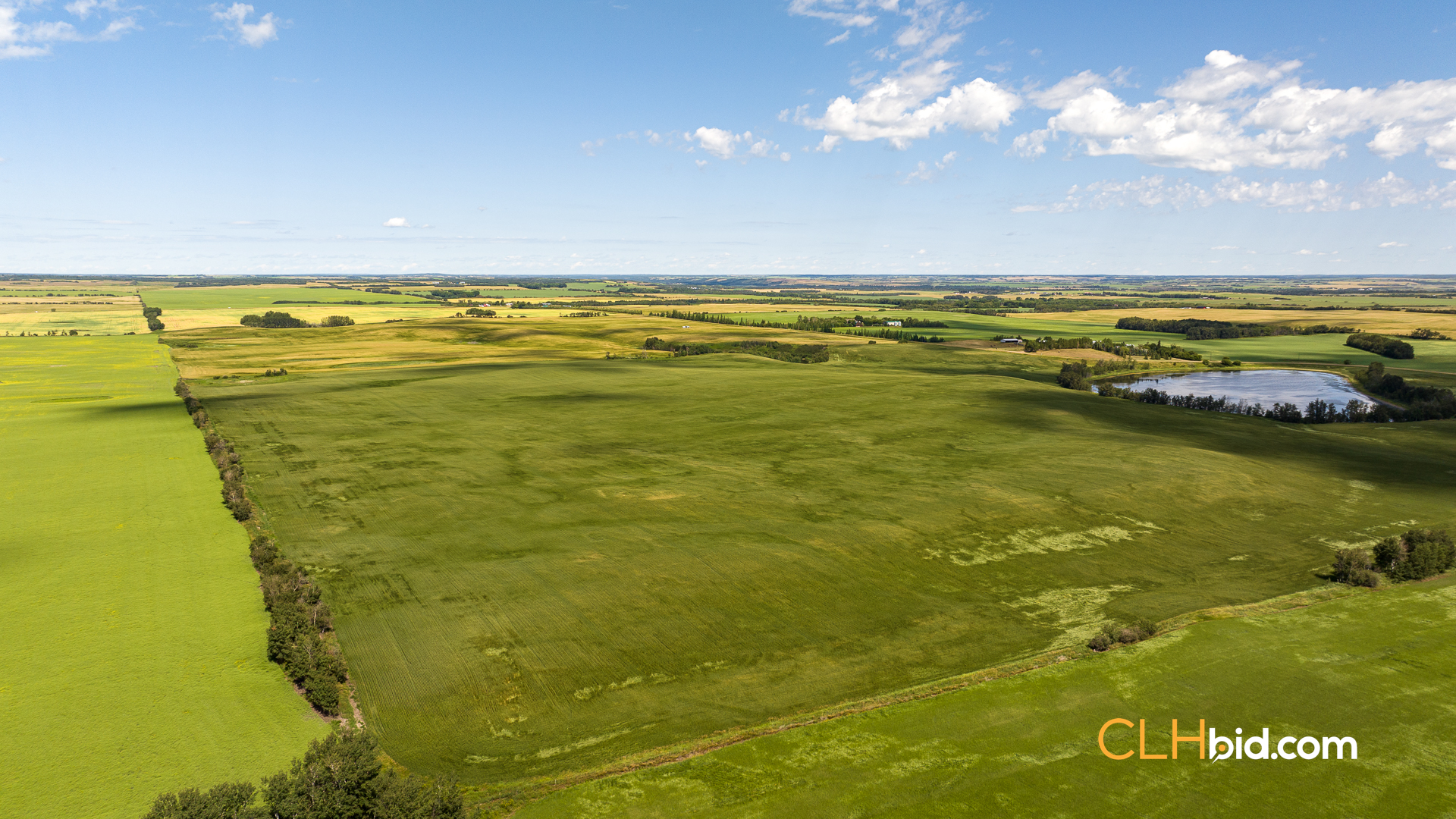 Web-Two-Hills-Next-Level-UPDATED-3