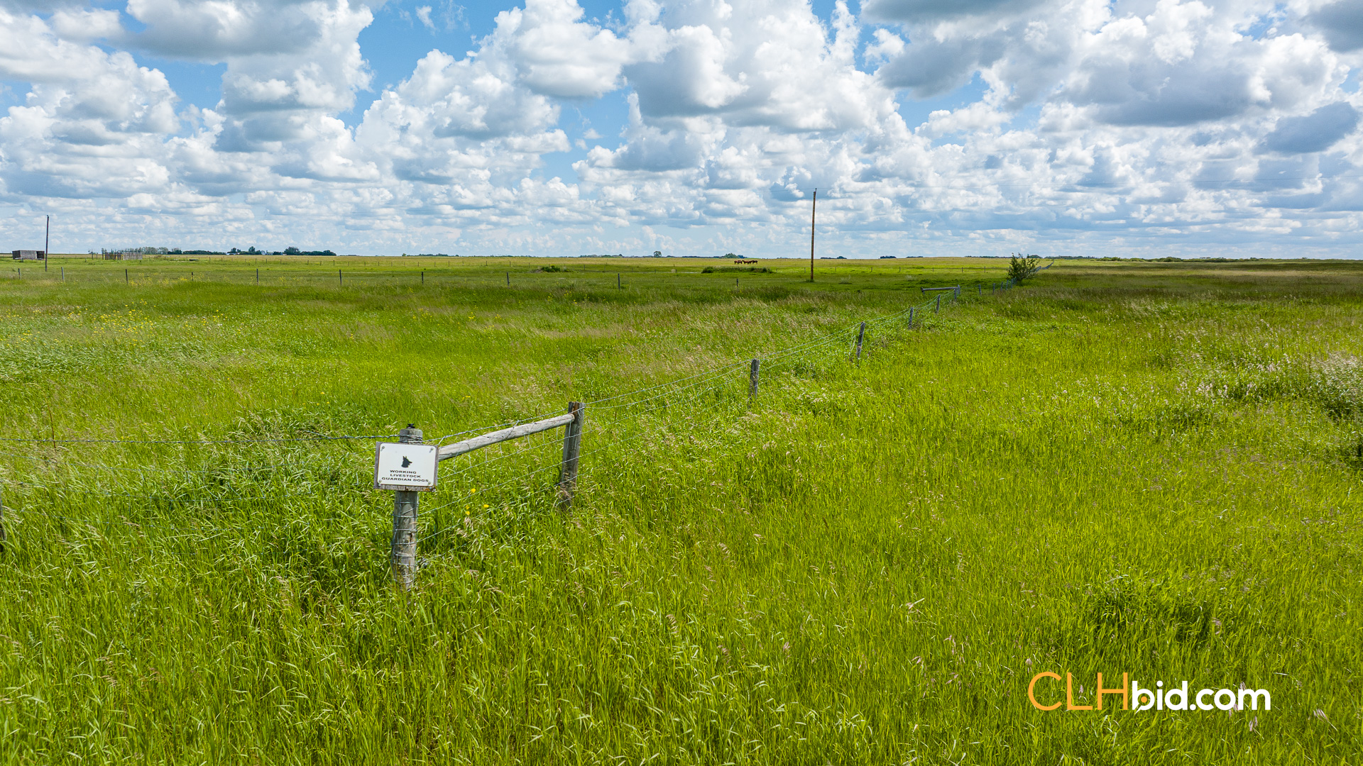 Web-Prairie-Haven-Ranch-28