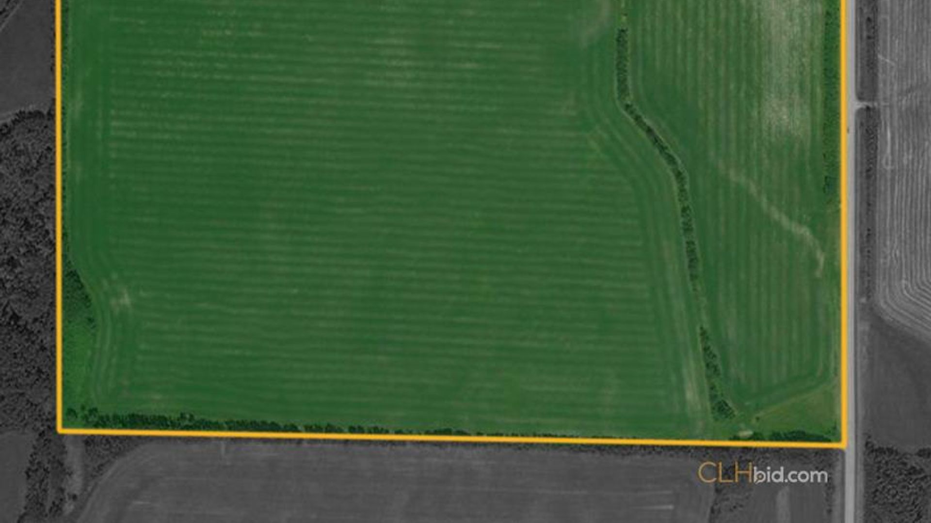 lincolnroadselect-2-11