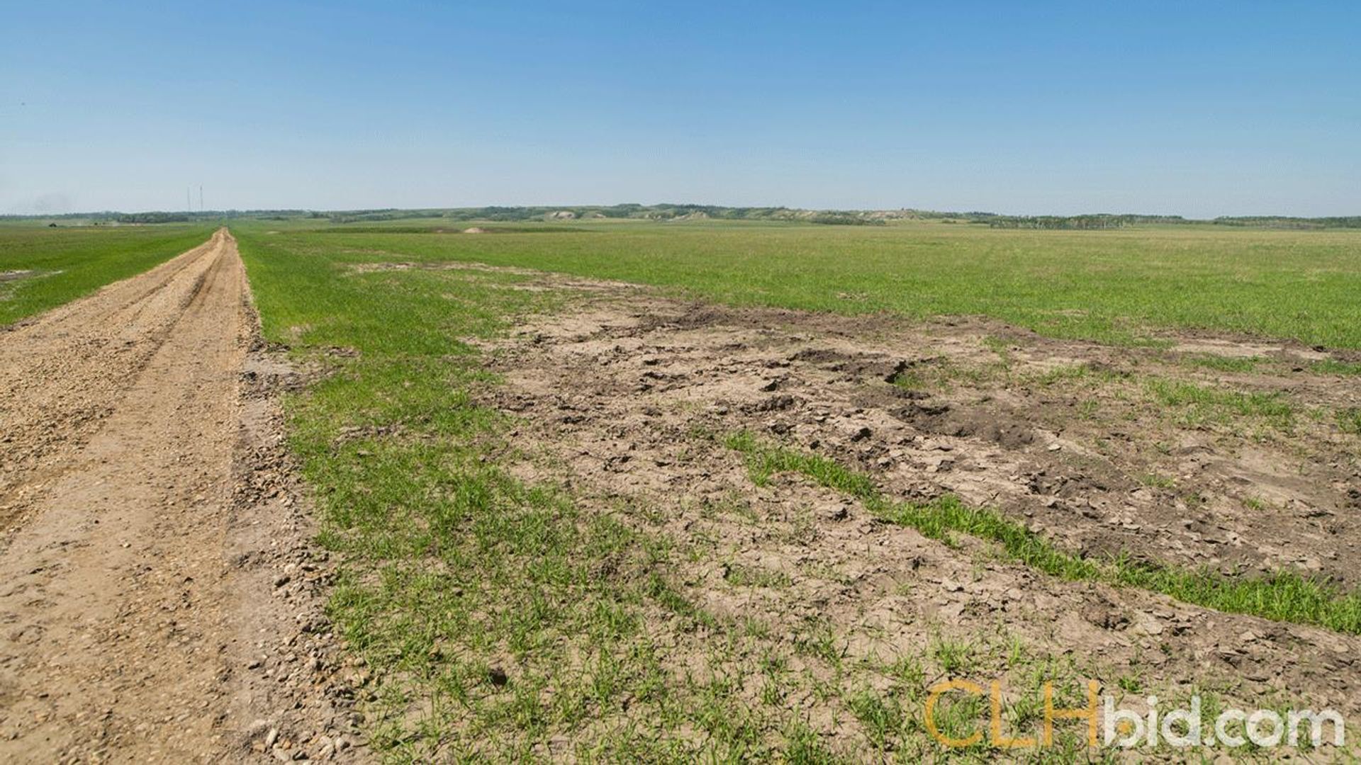 kleskunhillsranchmartineaufarms-22-2