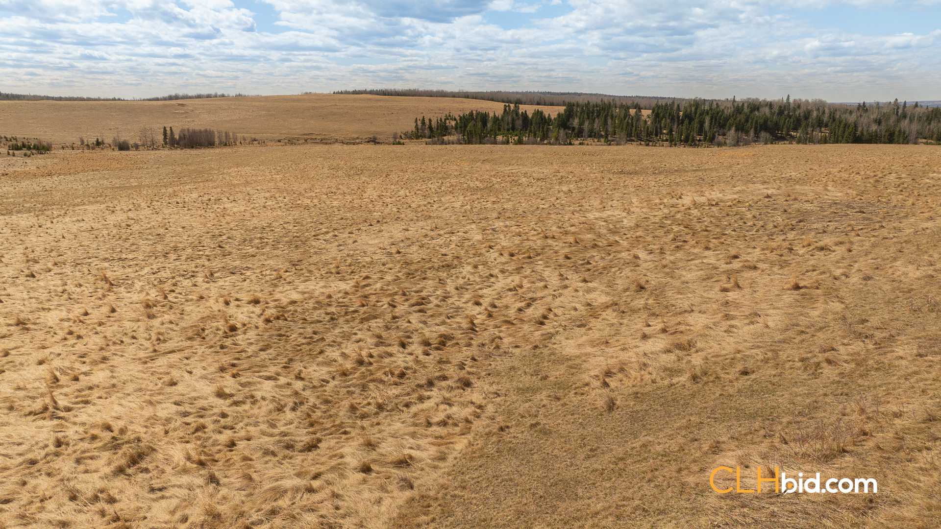 Web-GrazingGroundsNEW-7