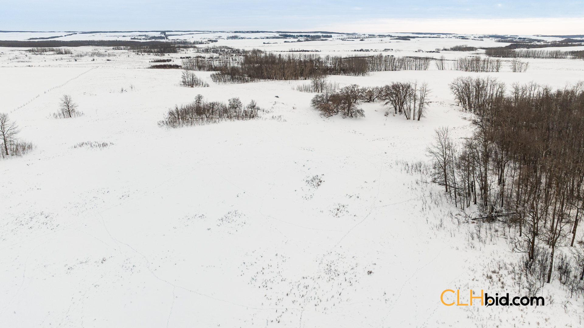 Web-GameOnInnisfree-4