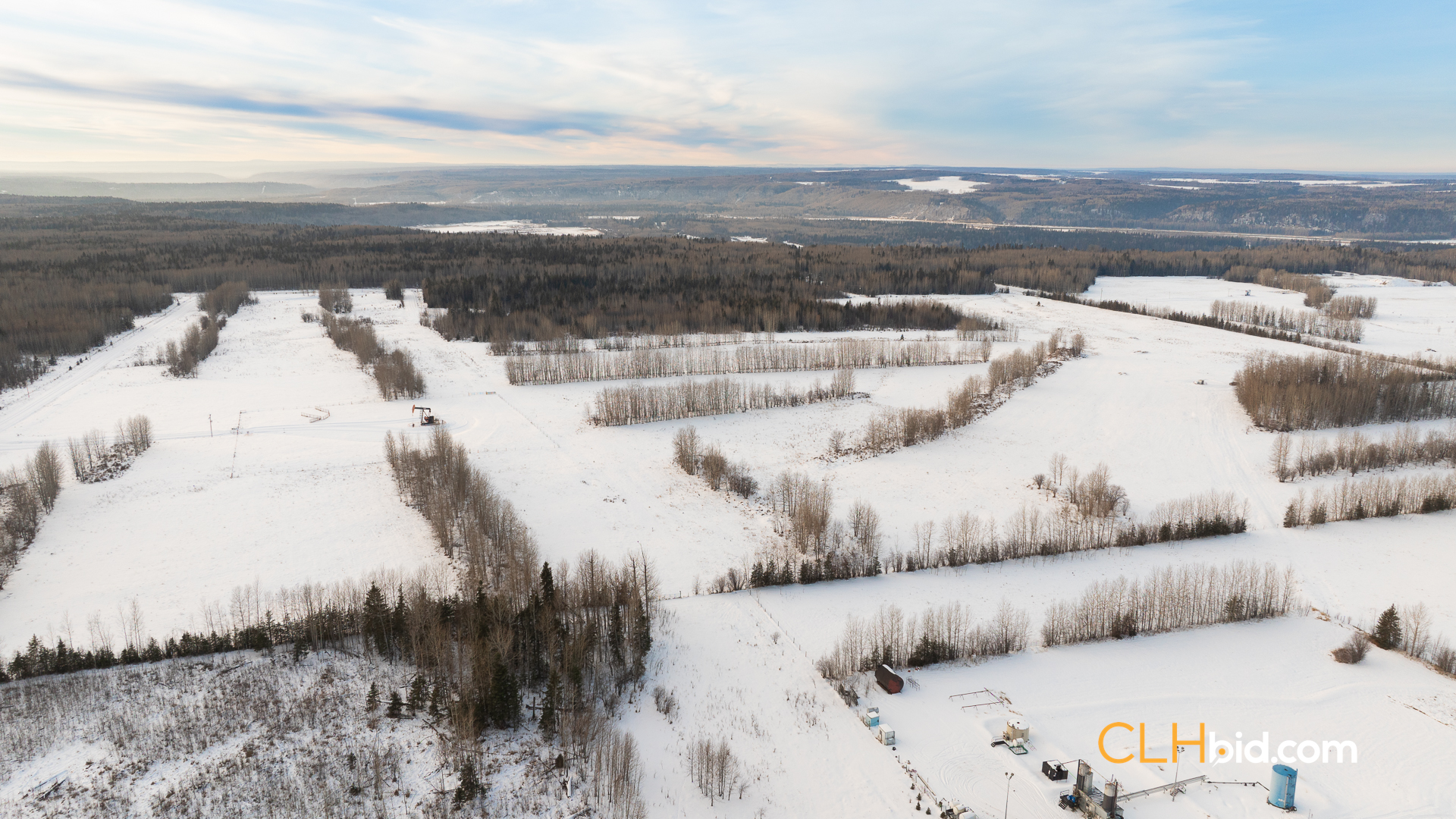 Web169-AcresOfPedigree-1