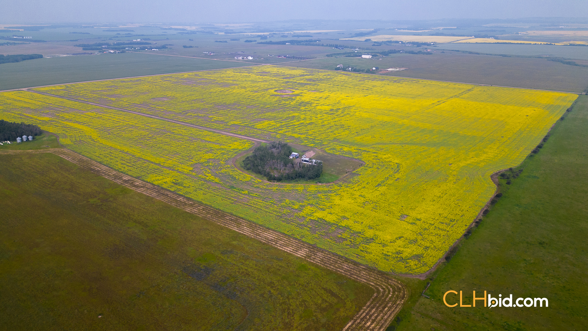 Web Sexsmith Serenity-1