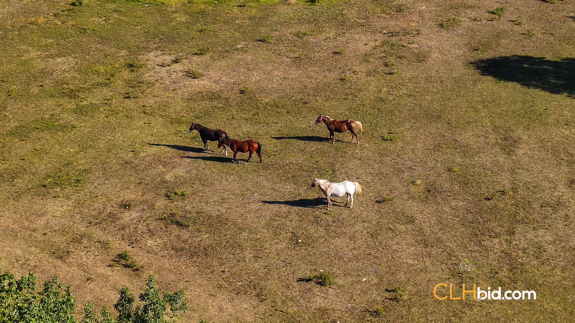 Web Rustlers Roost-15