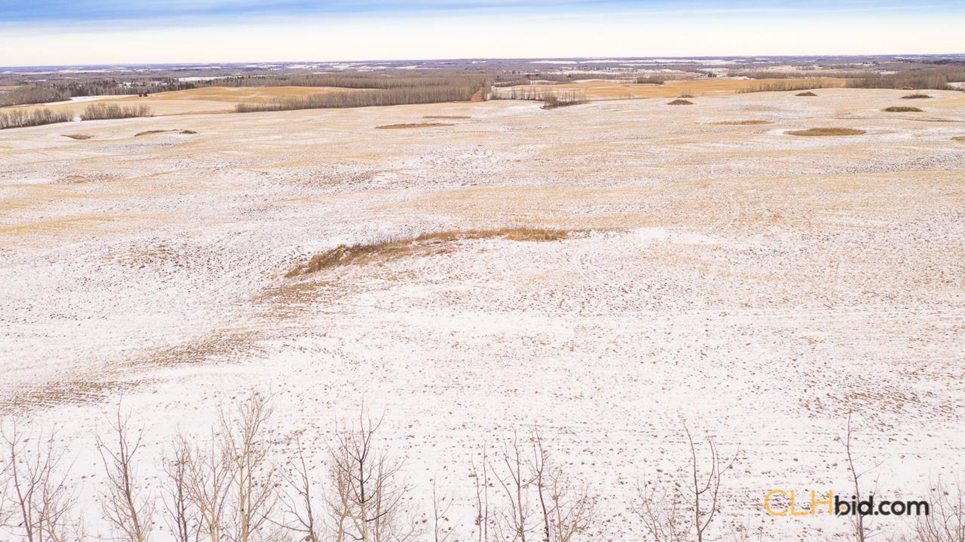 barrheadbigoptions-1-12