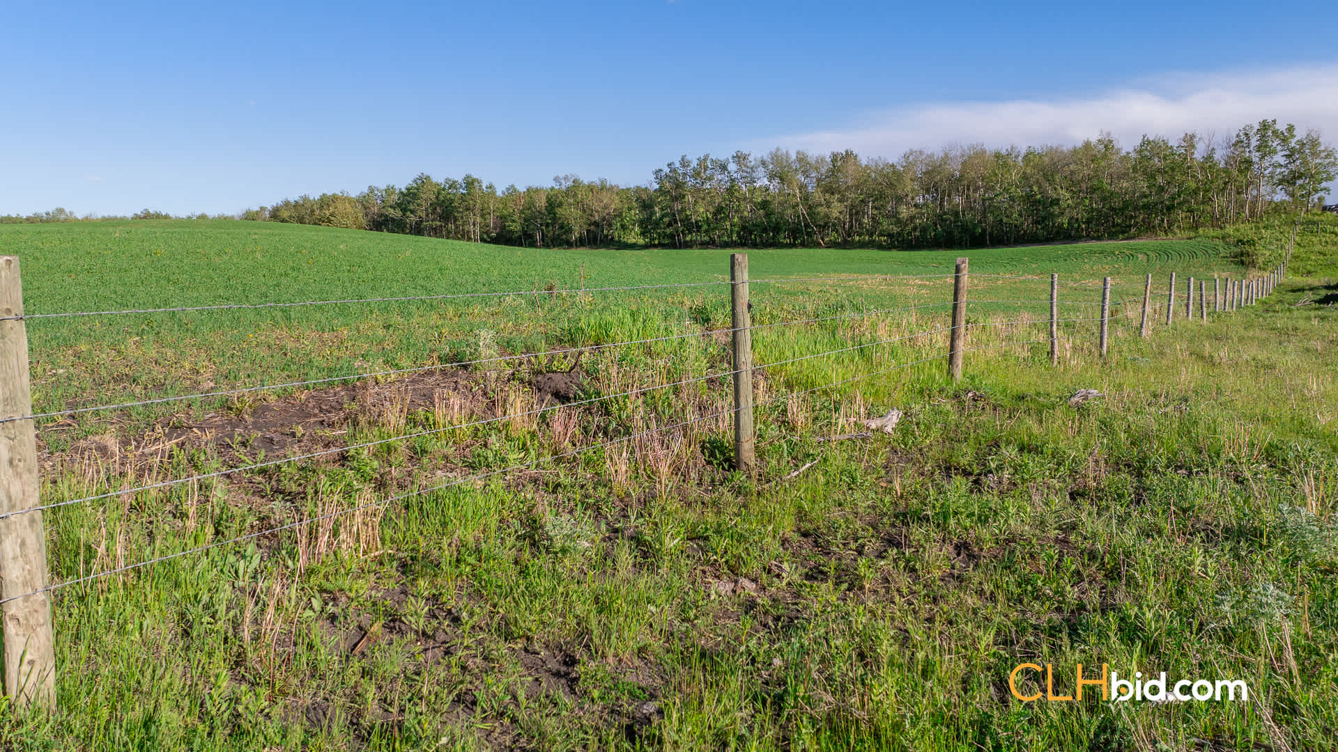 Web-Delburne-12