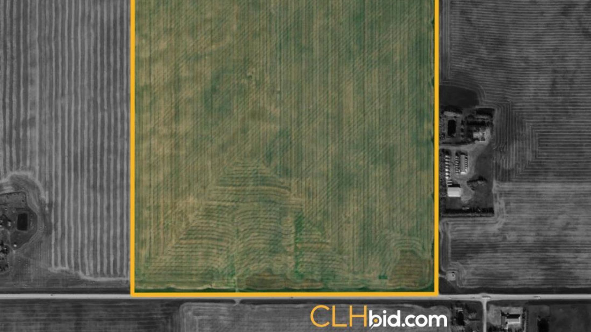 produceronpavement519-1-9