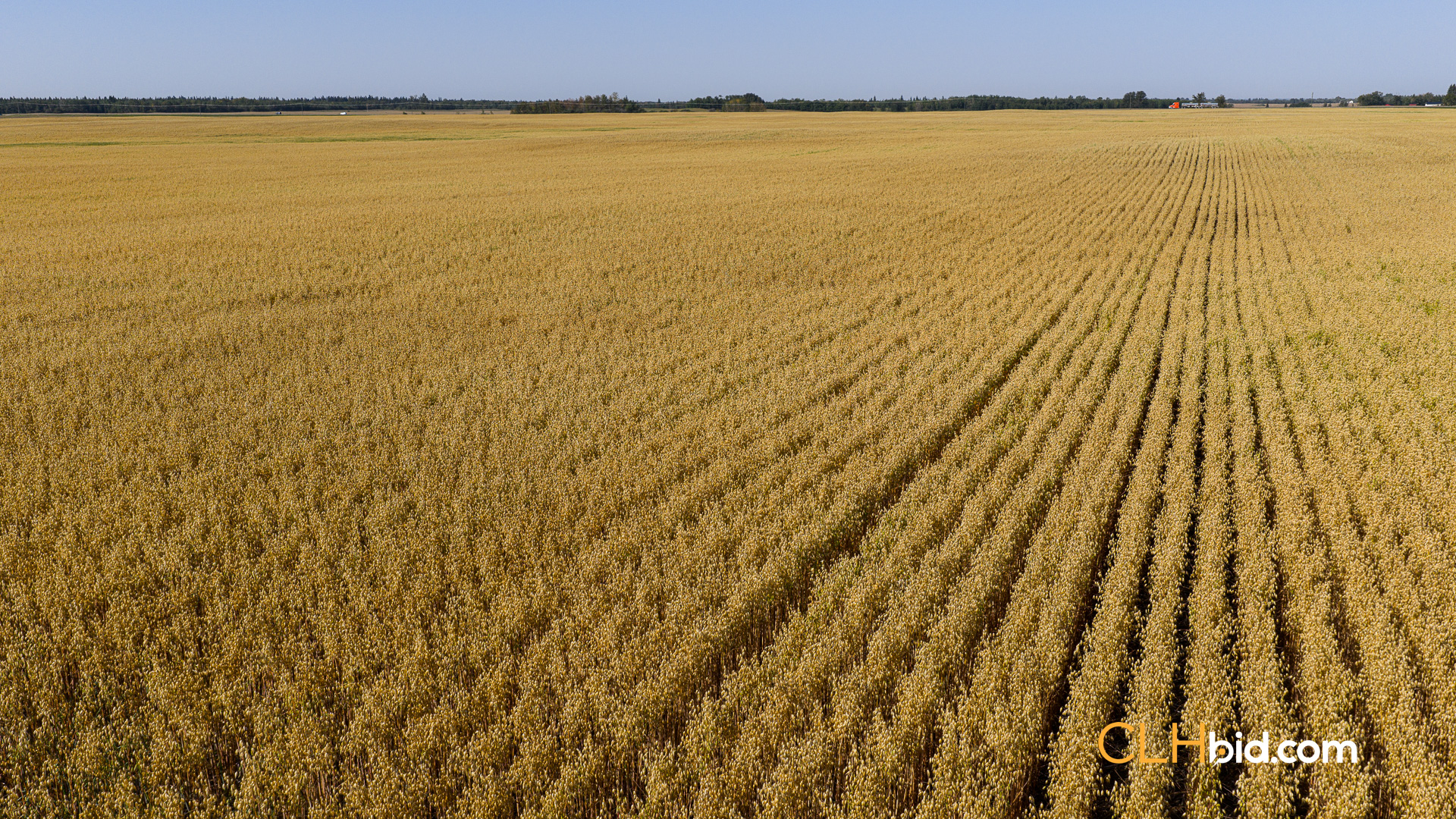 Web-Topsoil831NEW-17