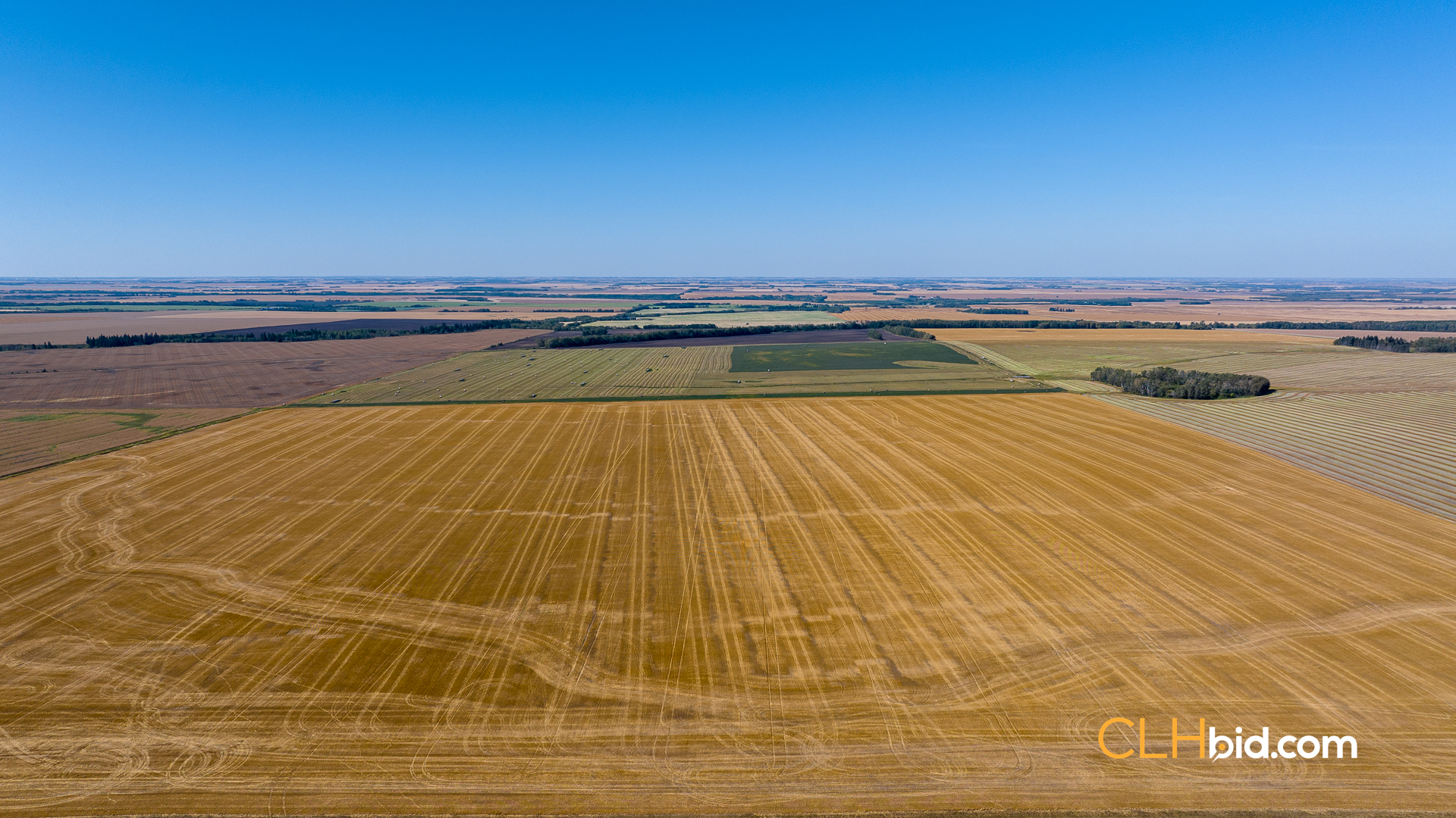 Web-Tisdale-Titan-16