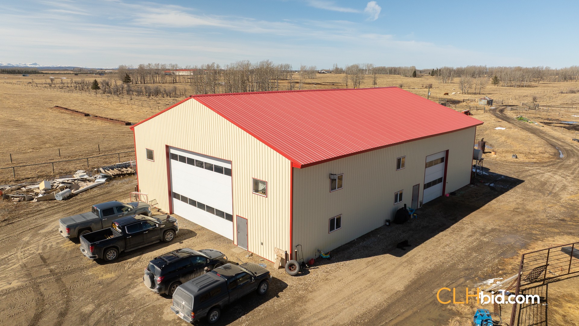 Web-CochraneDynastyNew-13