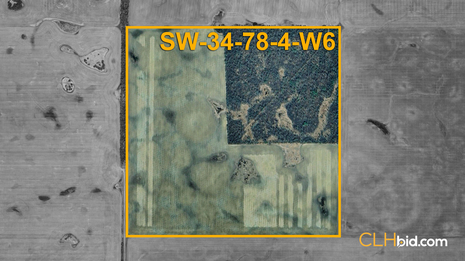 Bumper-Returns-OVERVIEW